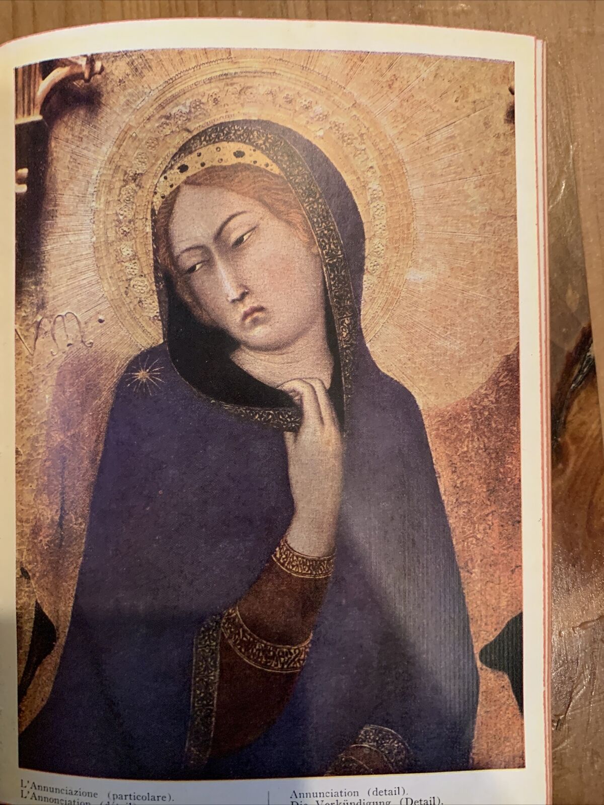 SIMONE MARTINI - ASTRA ARENGARIUM, ELECTA1952