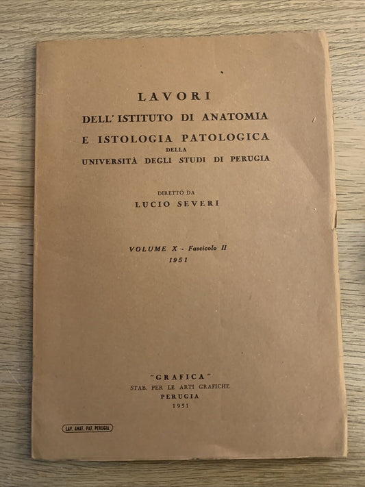 ISTITUTO DI ANATOMIA E ISTOLOGIA PATOLOGICA. LUCIO SEVERI. UNIVERSITÀ DI PERUGIA
