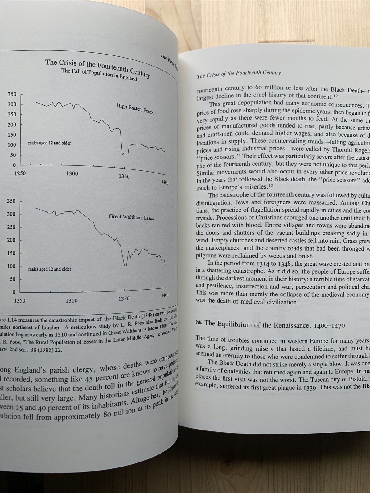 THE GREAT WAVE - David hackett Fischer 1996. Oxford University Press #