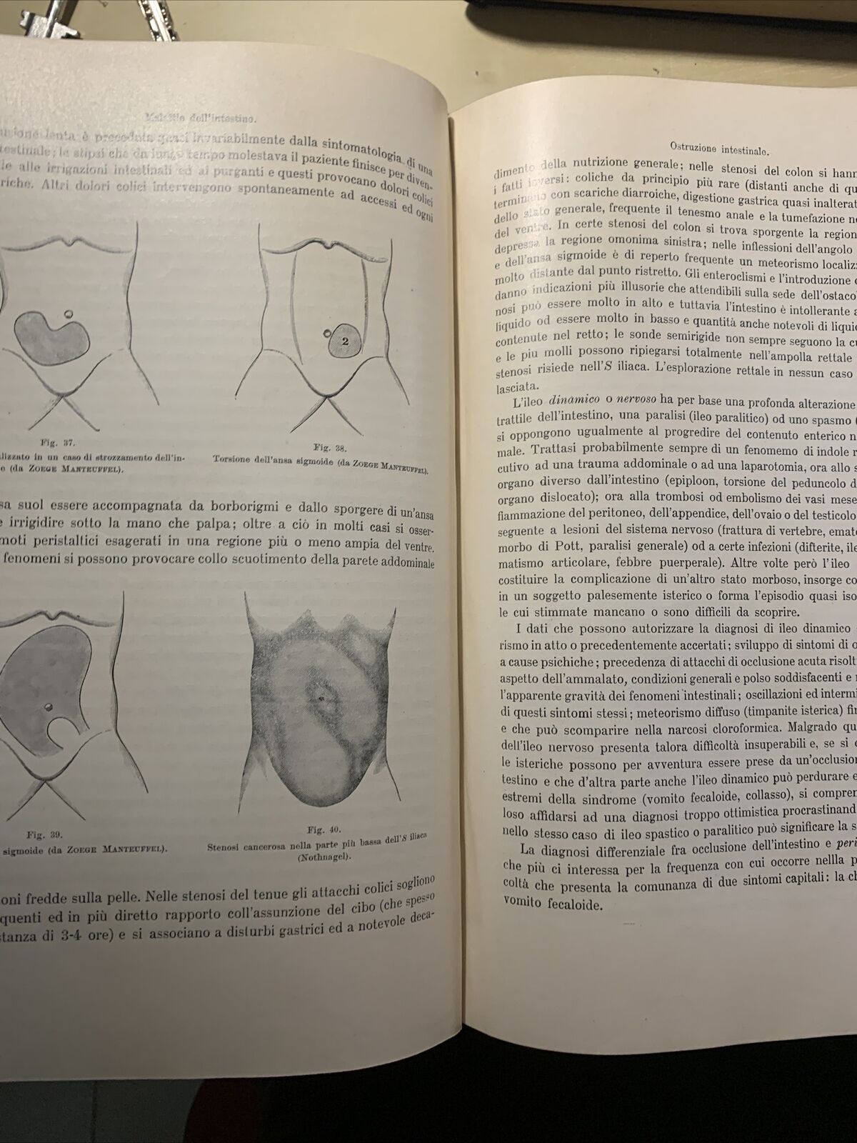 MANUALE PRATICO MEDICINA INTERNA - FEDERICO TAYLOR. UTET 1911. 2 VOLUMI #