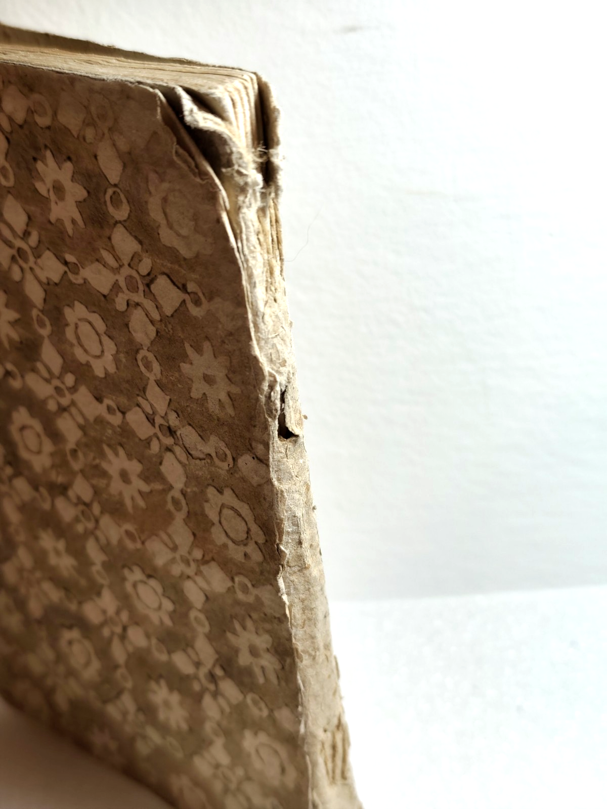 Ristretto della vita del B. Leonardo da Porto Maurizio missionario Apost. 1796