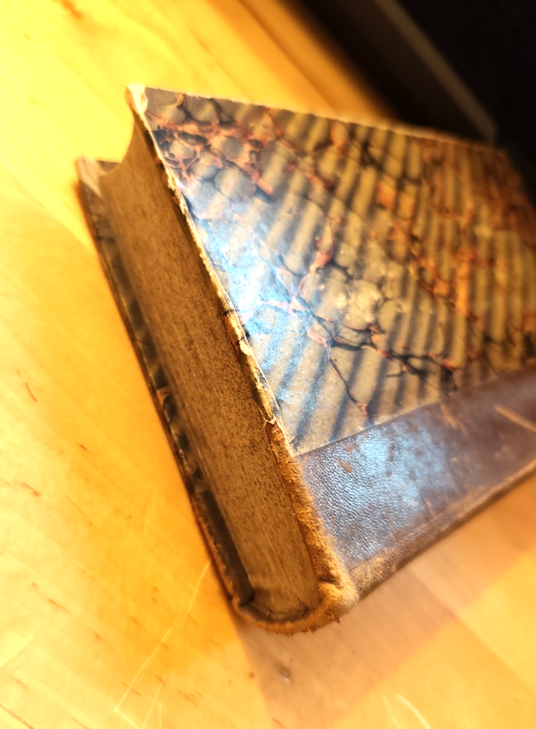 Riflessioni morali, D. Luigi Navarro. parte prima 1852