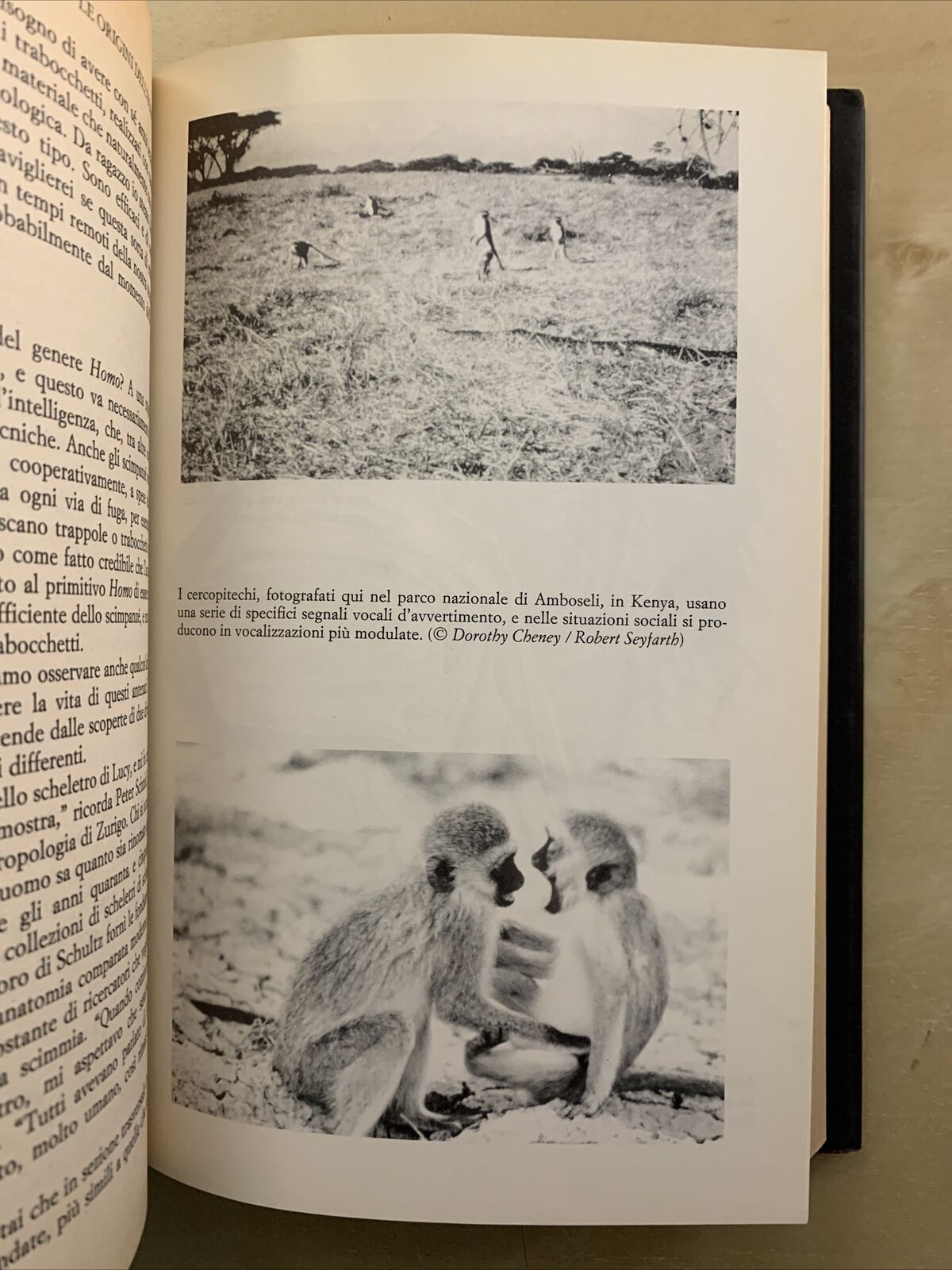 LE ORIGINI DELL'UOMO - Richard Leakey & Roger Lewin, Bompiani 1993