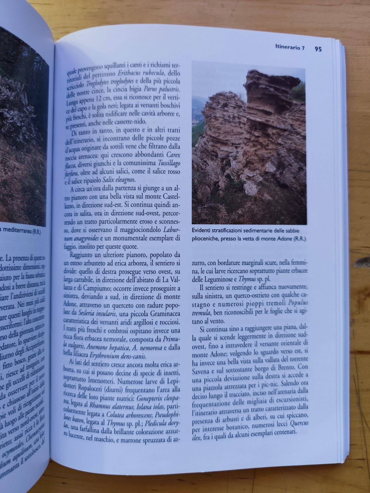 Escursioni Appennino Bolognese paesaggi e parchi dalla collina alla montagna