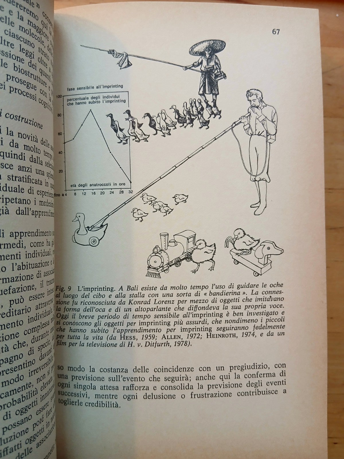 Biologia della conoscenza. Rupert Riedl. I fondamenti evoluzionistici, Longanesi