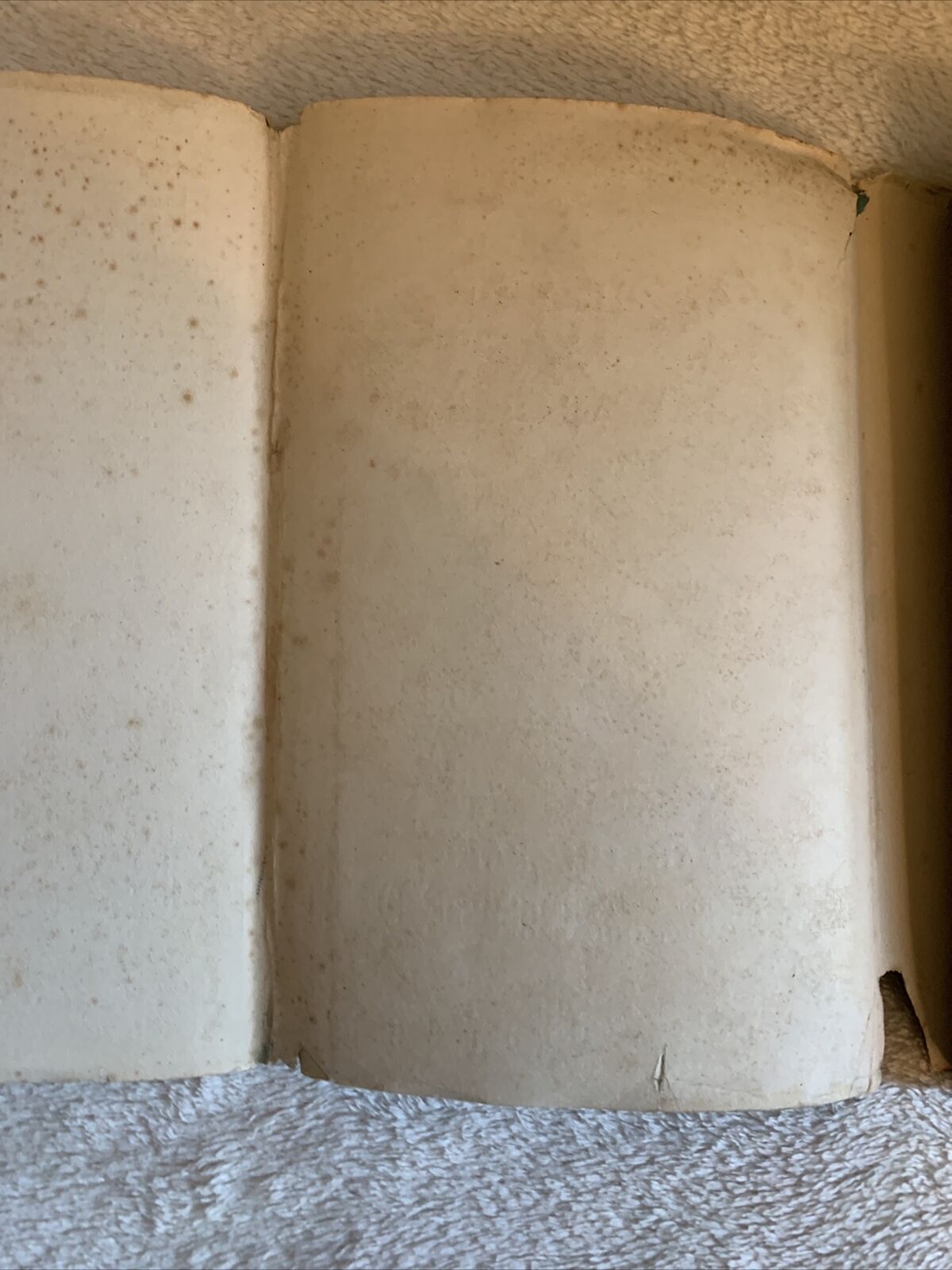 POPULATION AND SOCIETY IN THE ARAB EAST, Gabriel Baer. Routledge and Kegan 1964