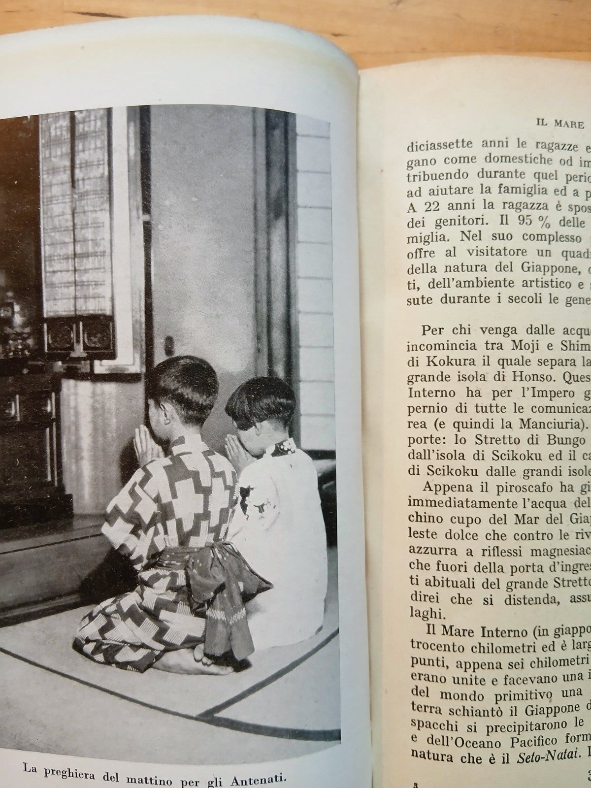 Cannoni e ciliegi in fiore - Il Giappone moderno - Mario Appelius, Mondadori