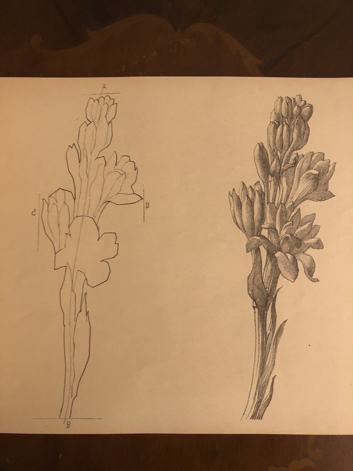 Il disegno nella scuola media, Alessandro Guerrera - Gaetano Spinelli. 1941