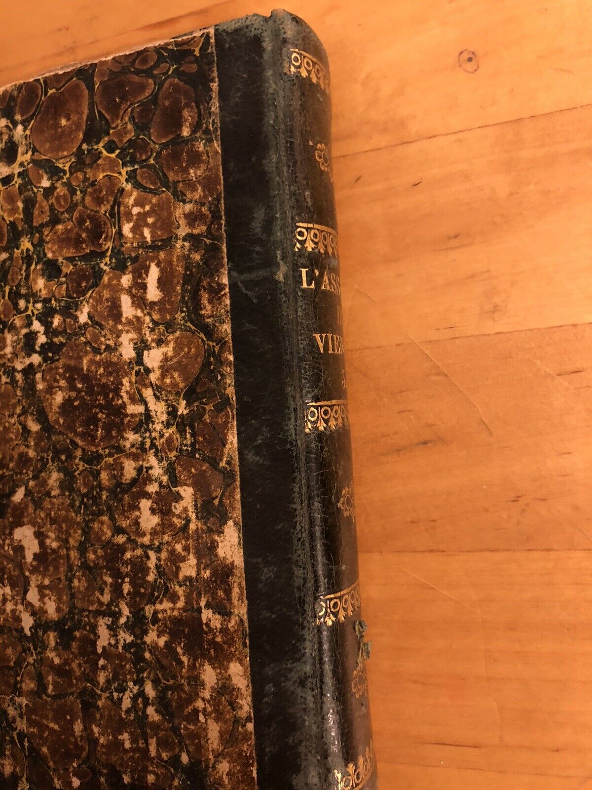 L'Assedio di Vienna - romanzo storico del secolo XVII. Carolina Pichler 1834