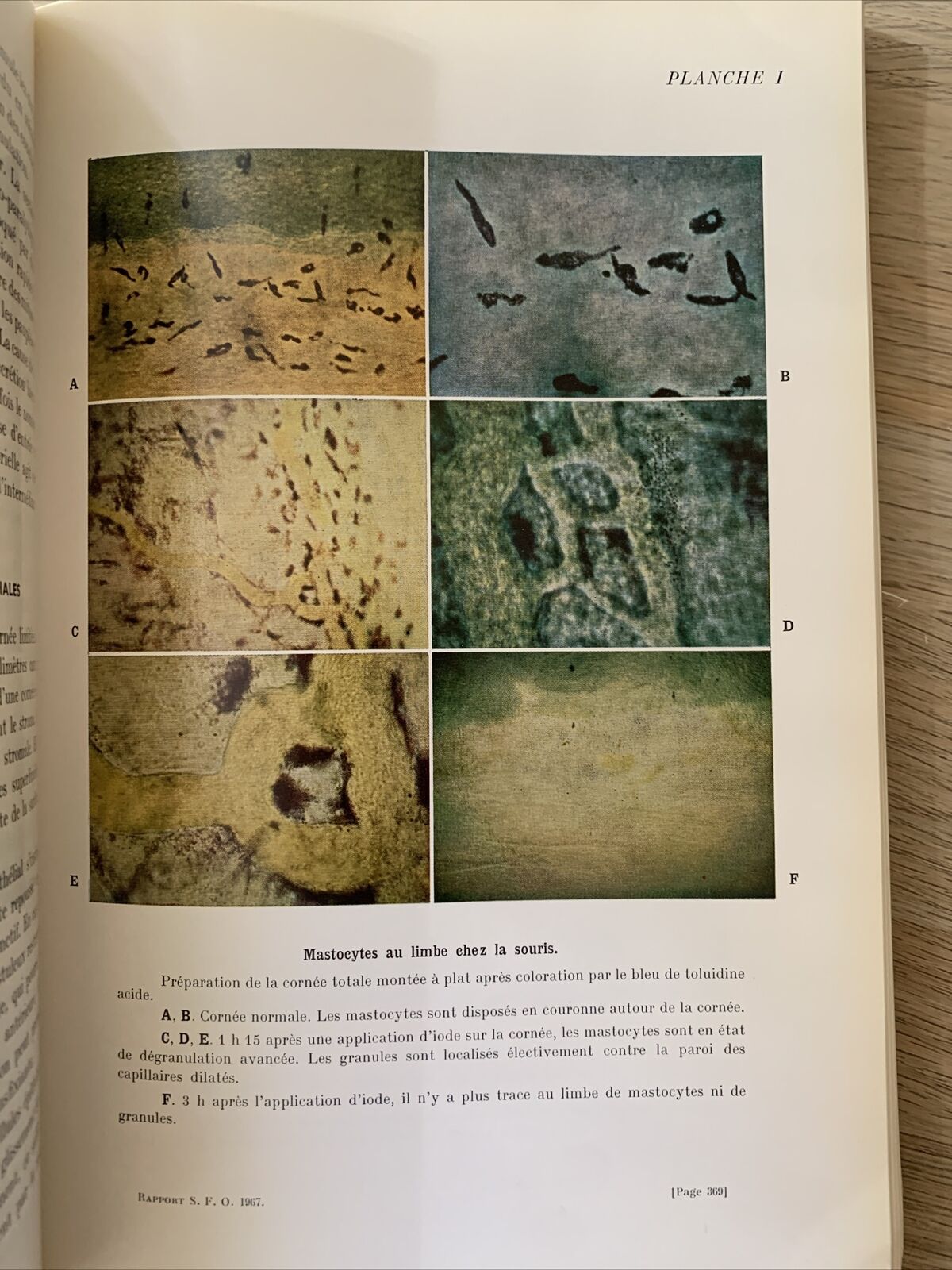 La Transparence de la Cornée, les Mécanismes de ses Altérations. Payrau 1967 #
