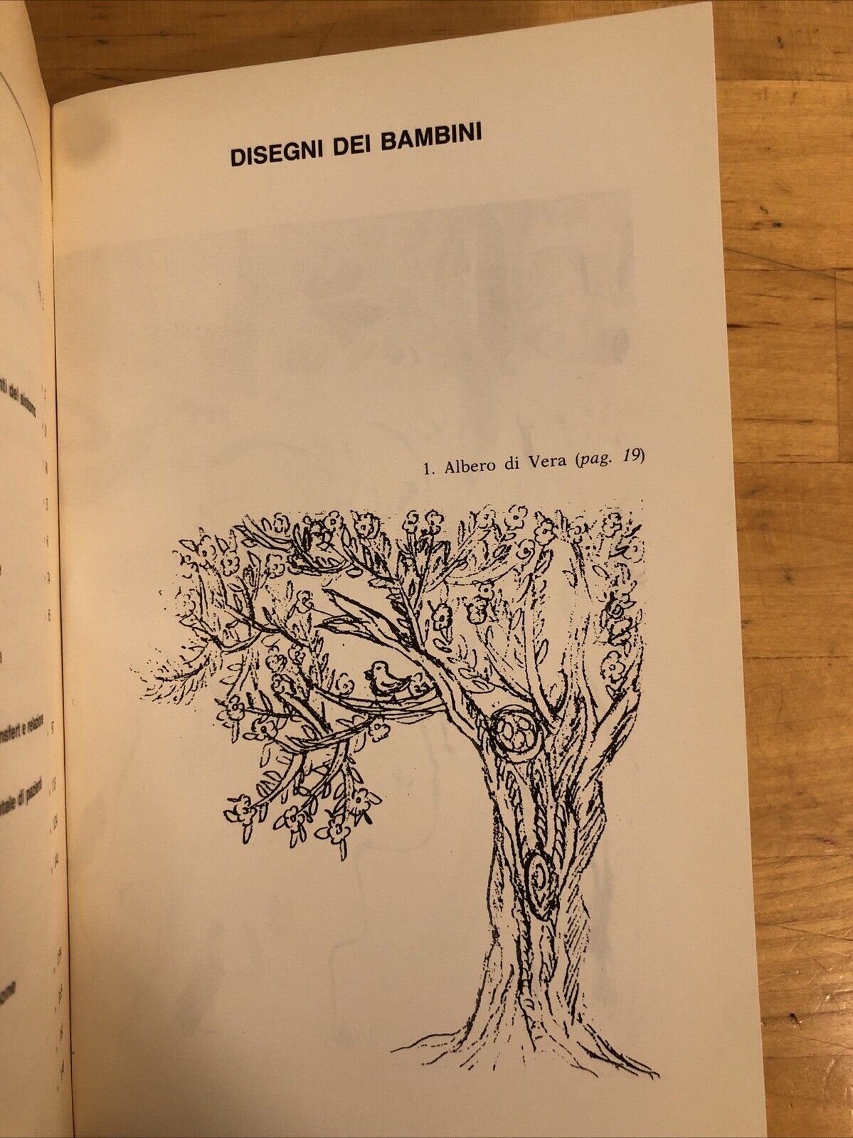 Mutismo elettivo e psicosi - Eleonora Fe' d'Ostiani. Borla editore 1987