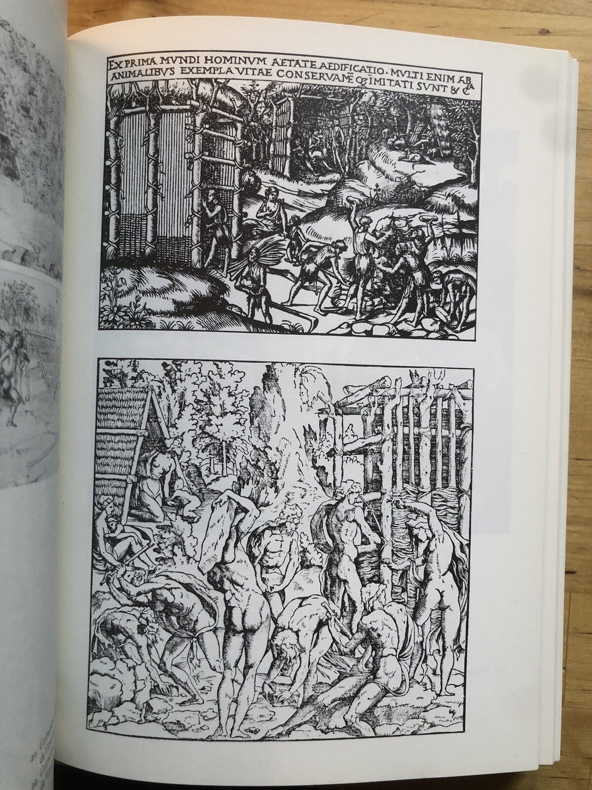 Studi di iconologia, Erwin Panofsky i temi umanistici nell'arte del rinascimento