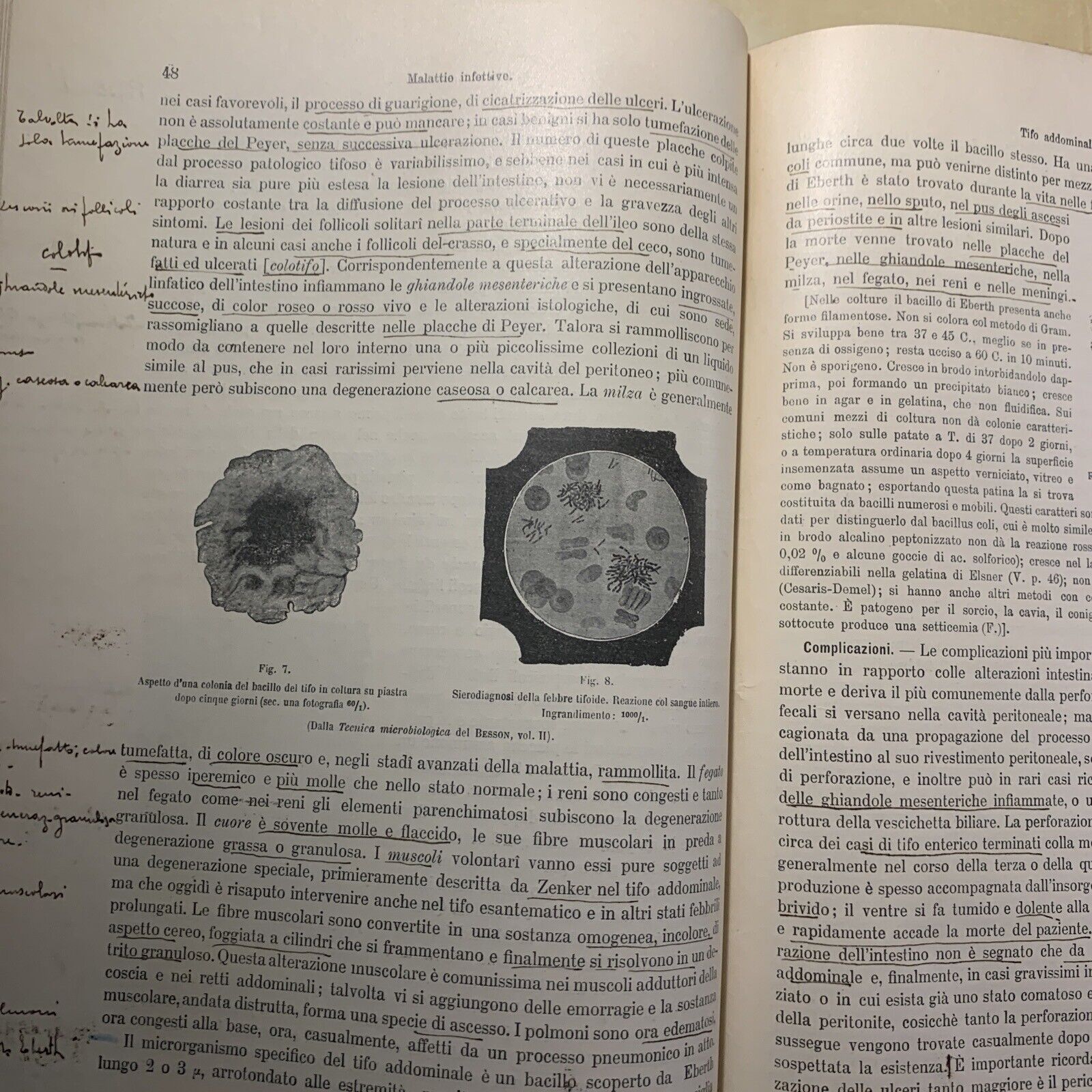 MANUALE PRATICO MEDICINA INTERNA - FEDERICO TAYLOR. UTET 1911. 2 VOLUMI #