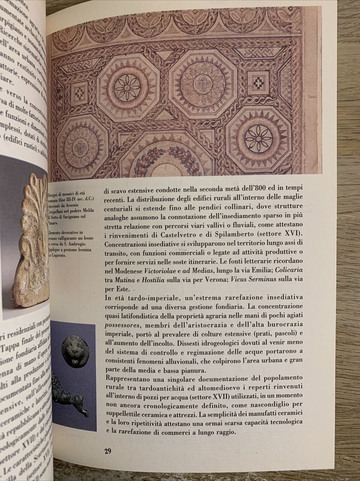 Museo archeologico etnologico di Modena. Comune di Modena