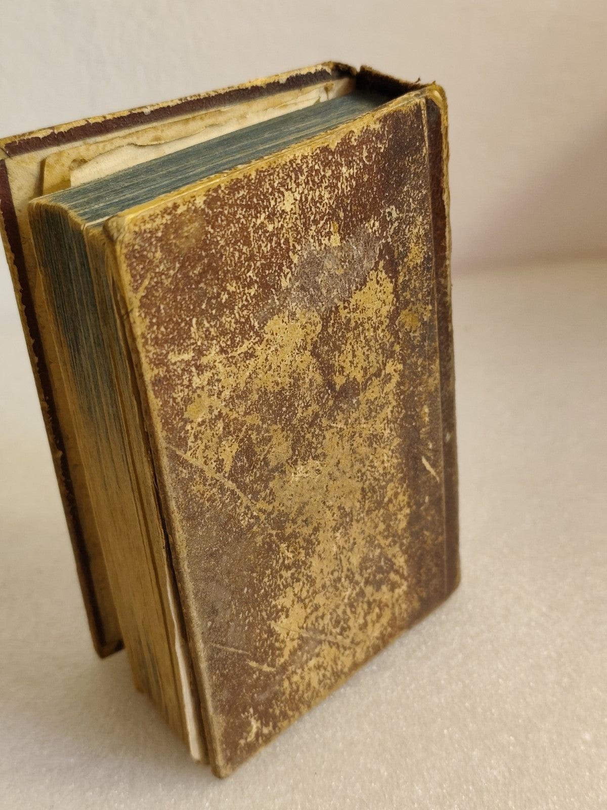 Giardino spirituale ovvero pratiche divote, Napoli 1858 Tipografia Vernieri