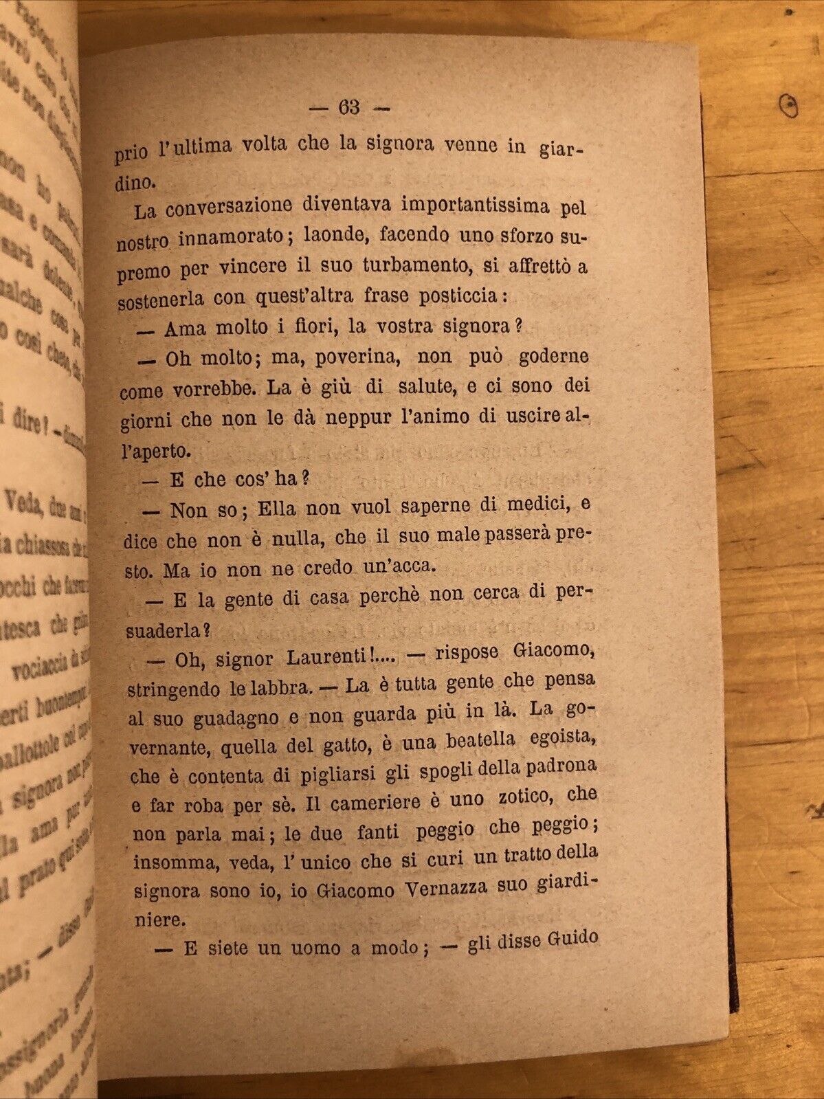 L'OLMO E L'EDERA - ANTON GIULIO BARRILI 1881 TREVES