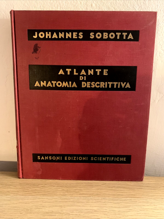 Atlante di anatomia descrittiva. Johannes Sobotta. Sansoni vol. 3