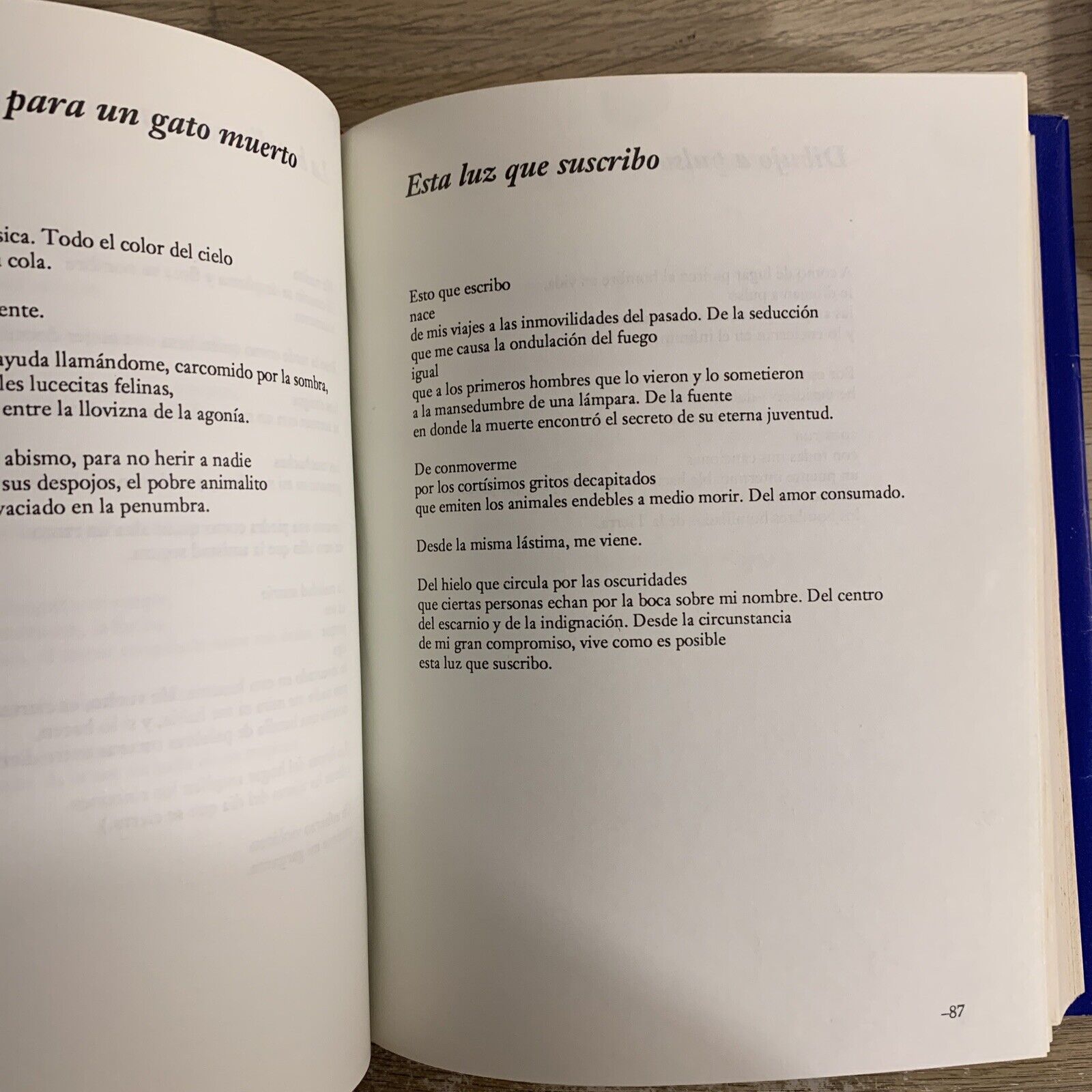 Roberto Sosa - Obra Completa. Hormiga Roja 1990 ** dedica e firma dell'autore**
