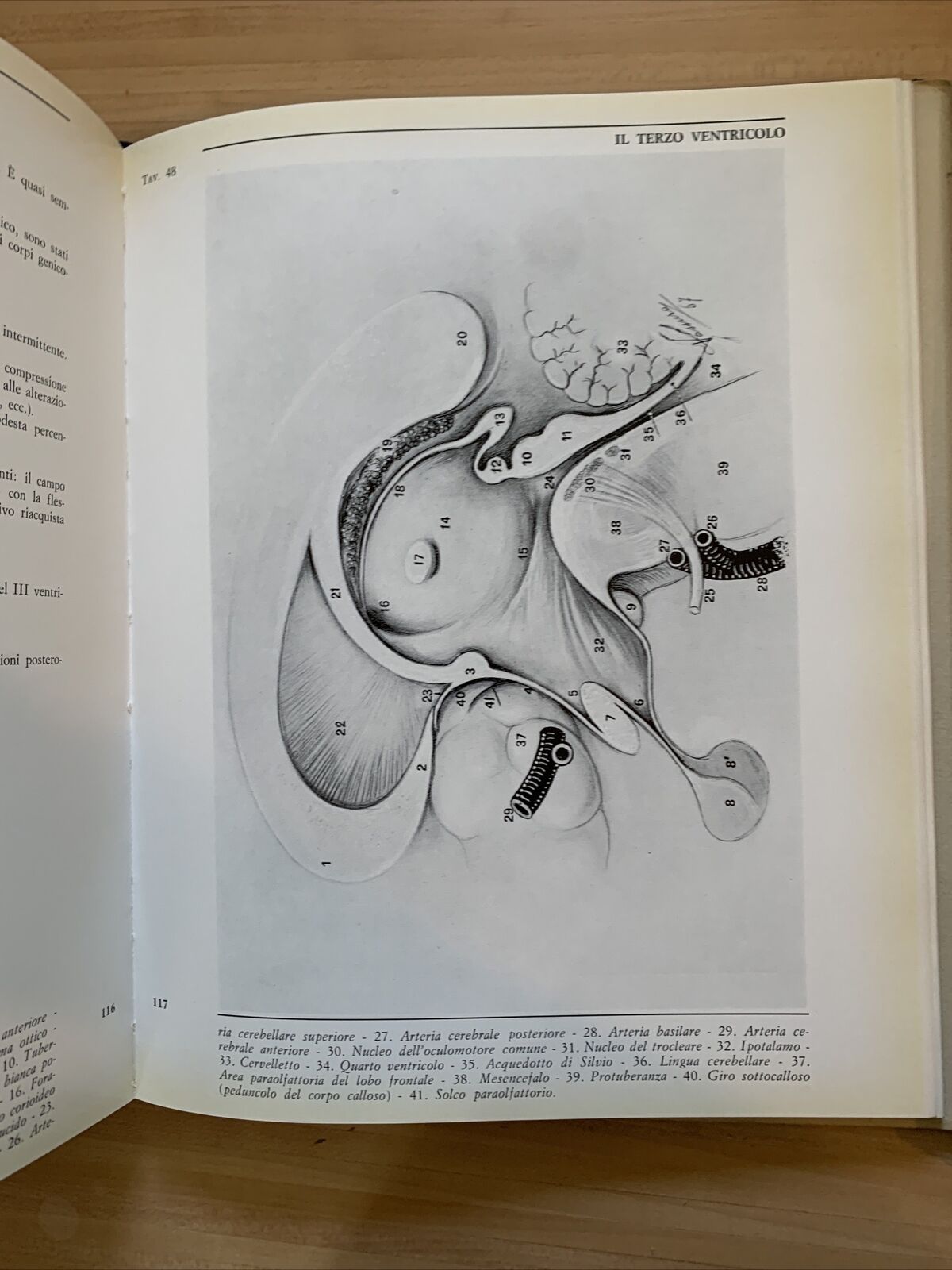 L'OCCHIO ICONOGRAFIA NEUROFTALMOLOGICA. parte seconda vol. 1 e2. Giorgio Vassura