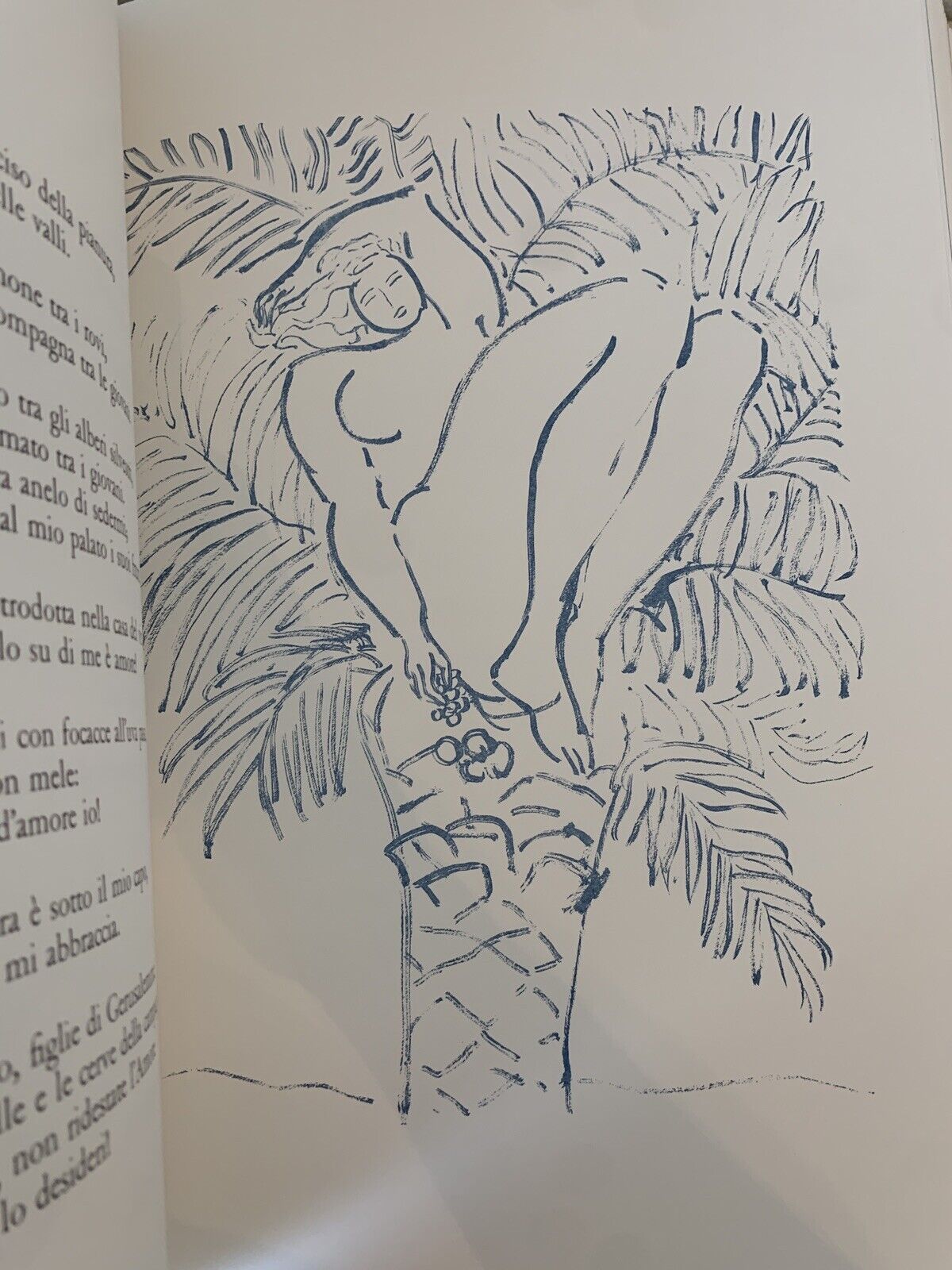 Cantico dei cantici, Pierre Boncompain. Art'e', G. Ravasi 2002