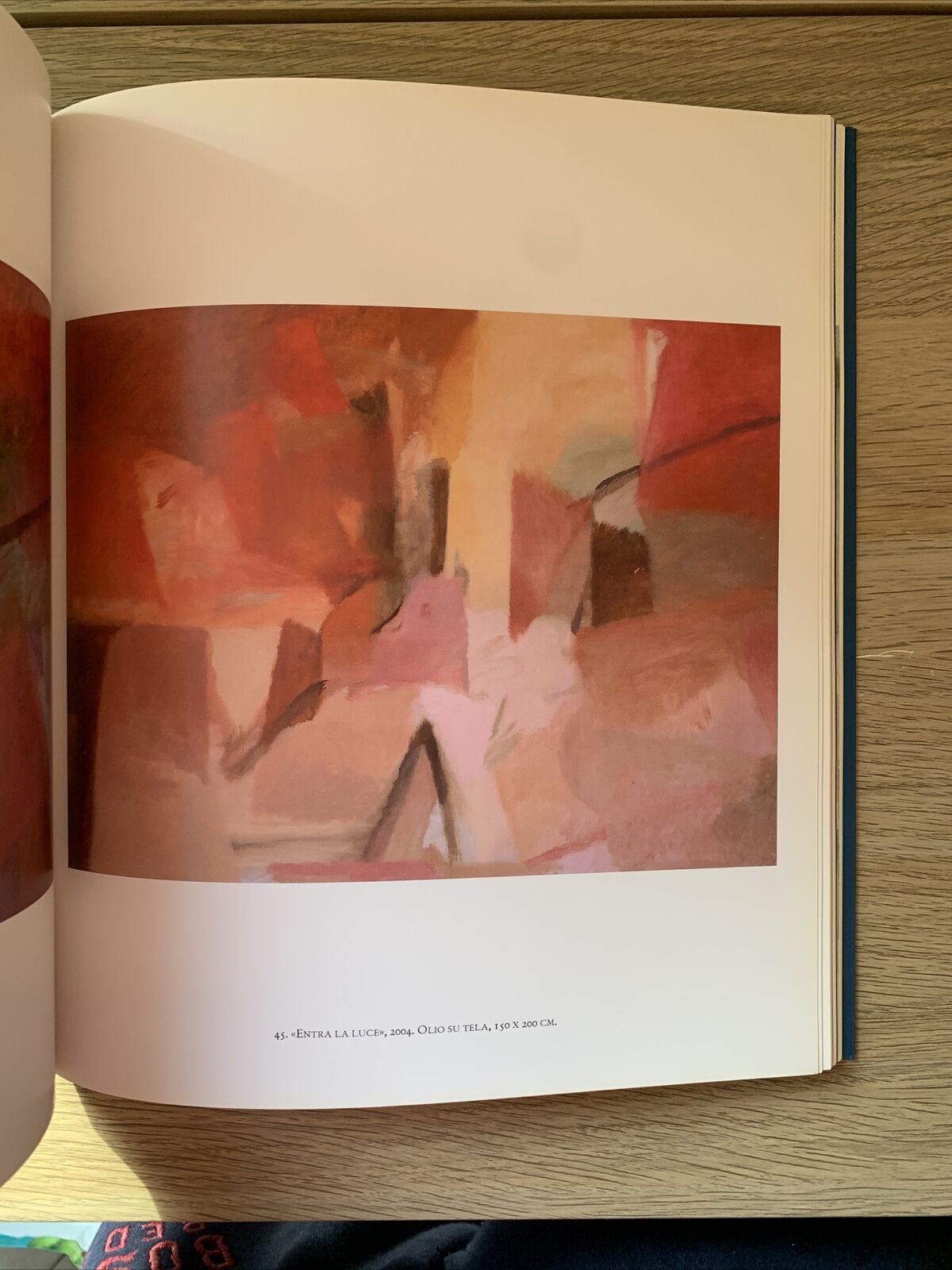 FRANCO BERALDO, La verità del colore. Opere 1979 - 2014. Allemandi & C. #