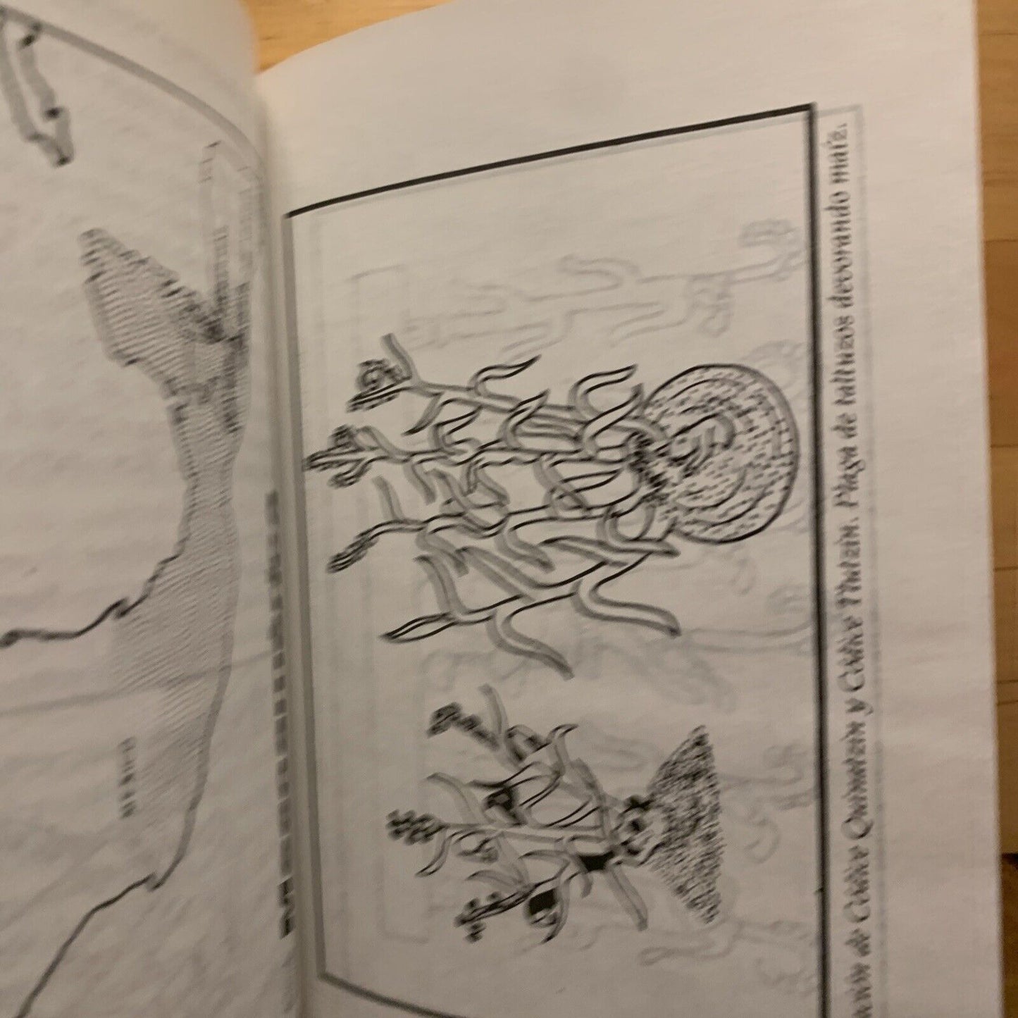 Agricultura prehispanica y colonial - Mario Ardon Mejia. editorial guayamuras