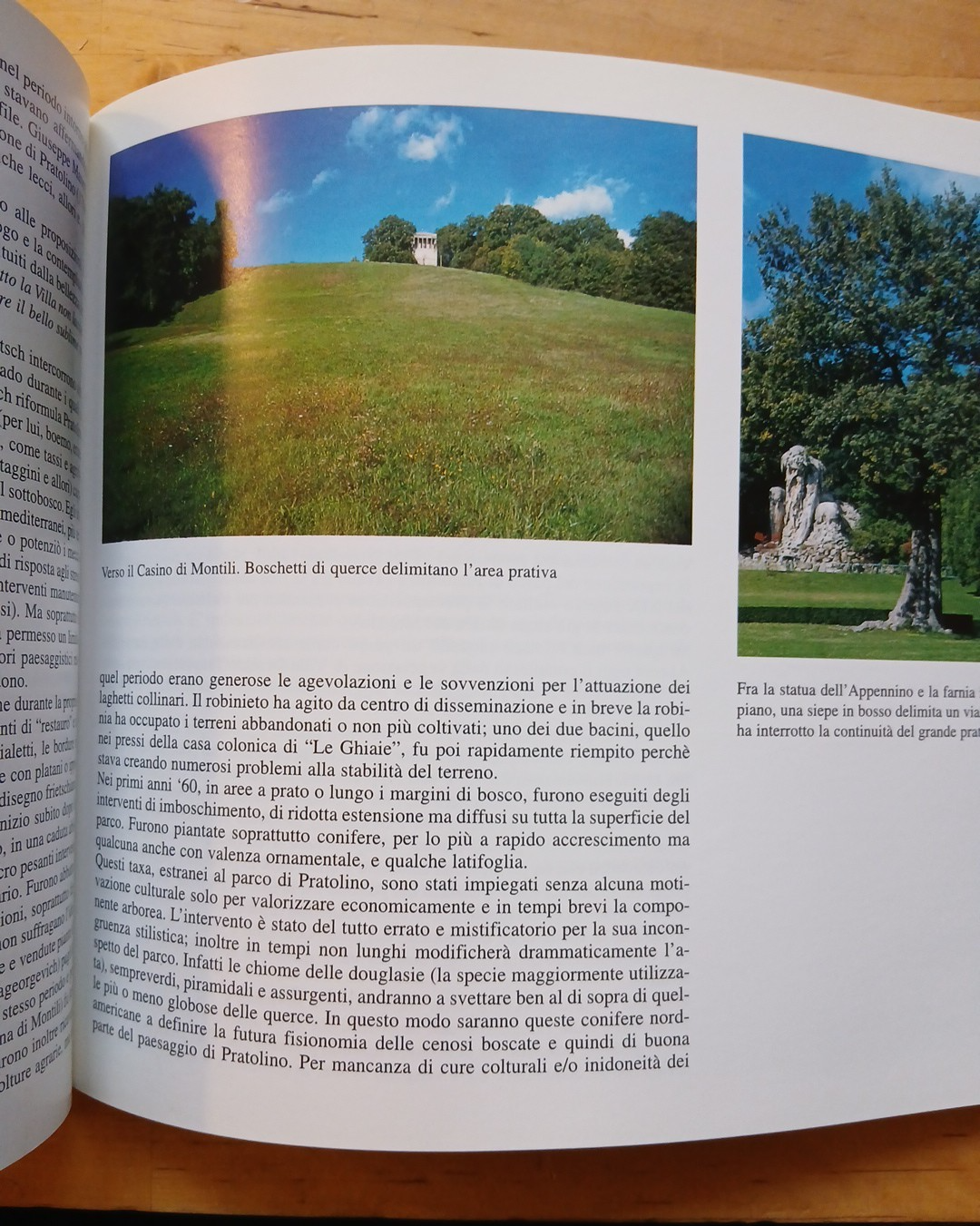 Pratolino tra passato e presente - Alinea editrice 1999