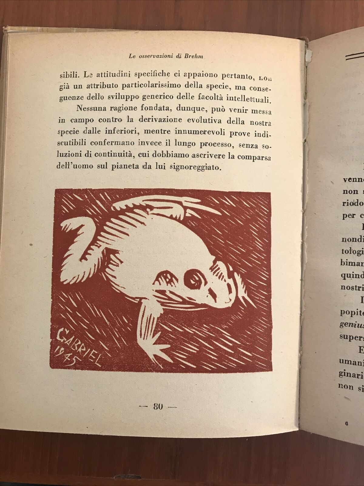 L'evoluzione della vita R. Mandel istituto scientifico italiano TEORIA EVOLUTIVA