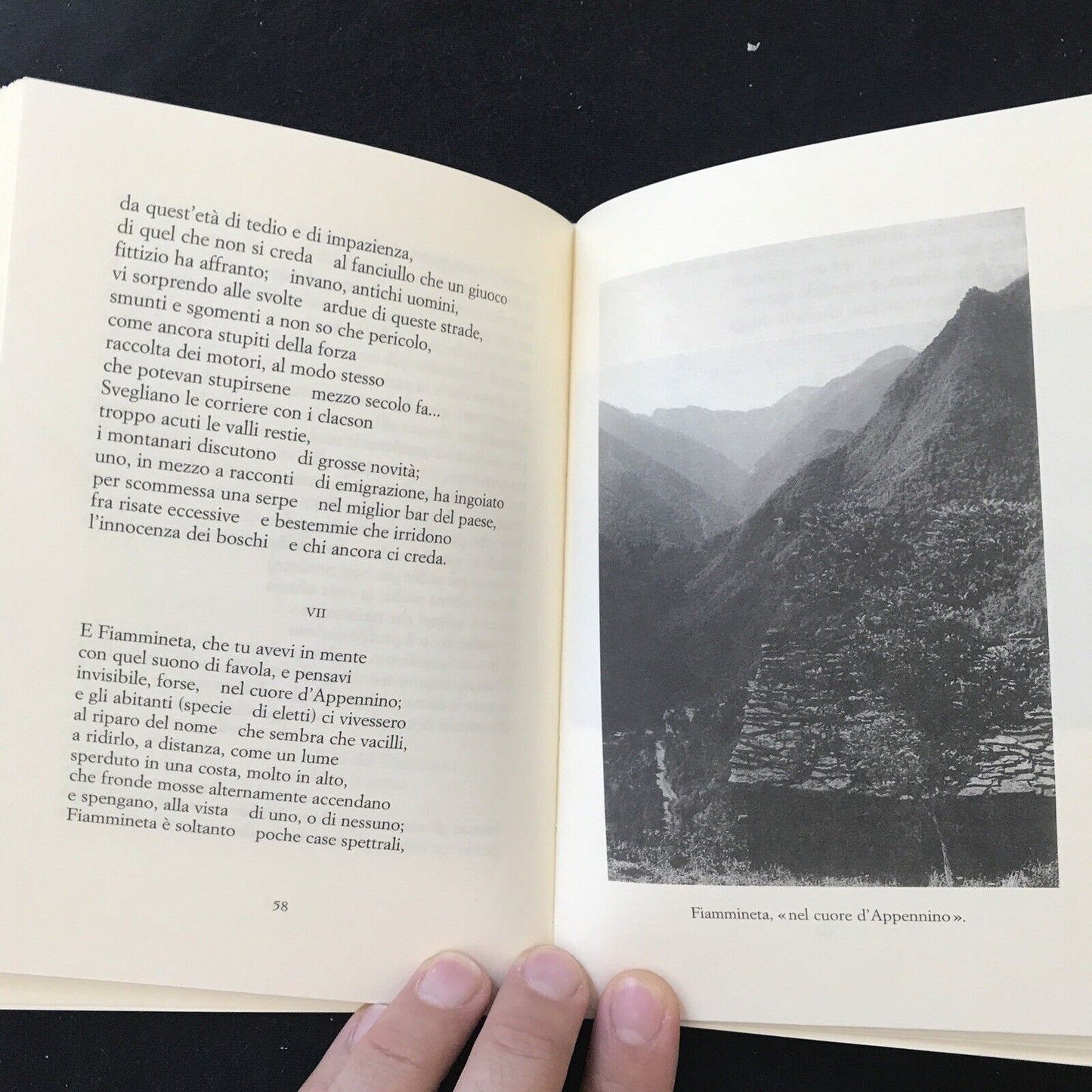ARCANGELI, L'Appennino , libri Scheiwiller 1997.  POESIA