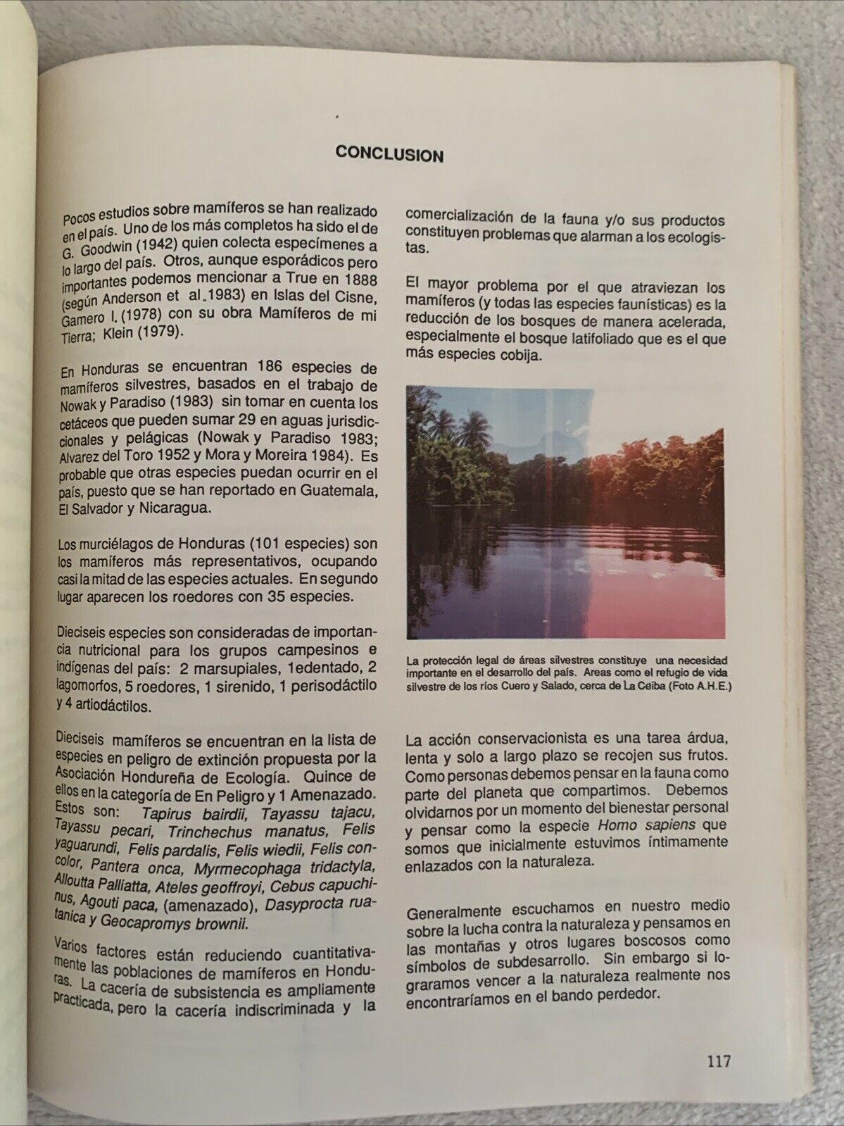 Mamiferos silvestres de Honduras. Leonel Marineros, F. Martìnez Gallegos 1988