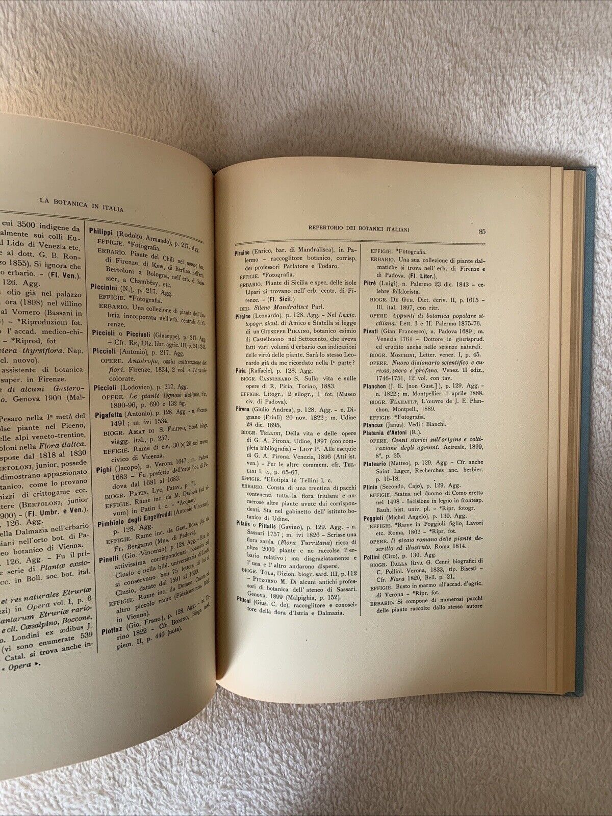 LA BOTANICA IN ITALIA - Pier Andrea Saccardo. Forni Editore, Ristampa del 1971