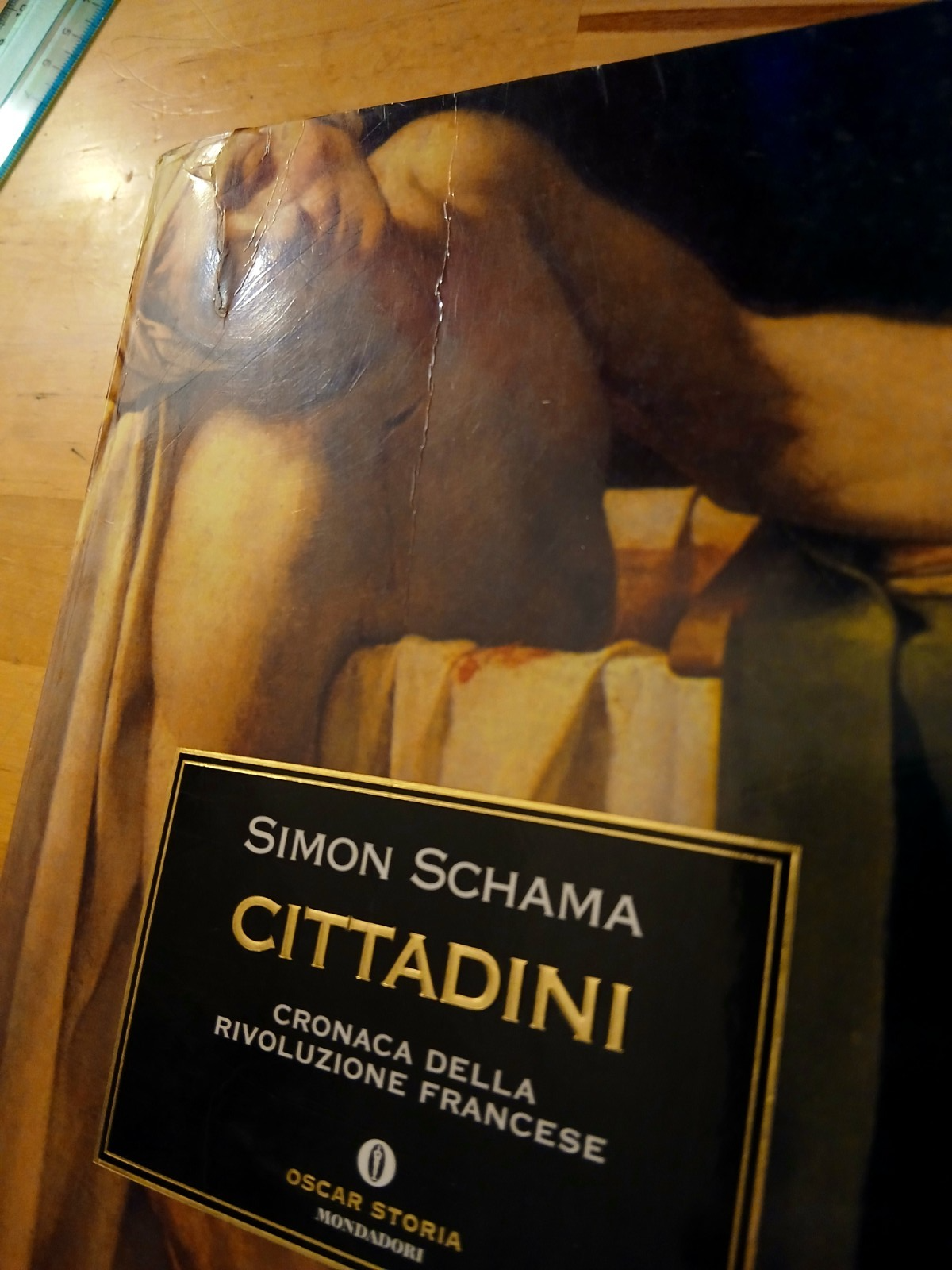 Cittadini - cronaca della rivoluzione francese - Simon Schama - Mondadori 1999