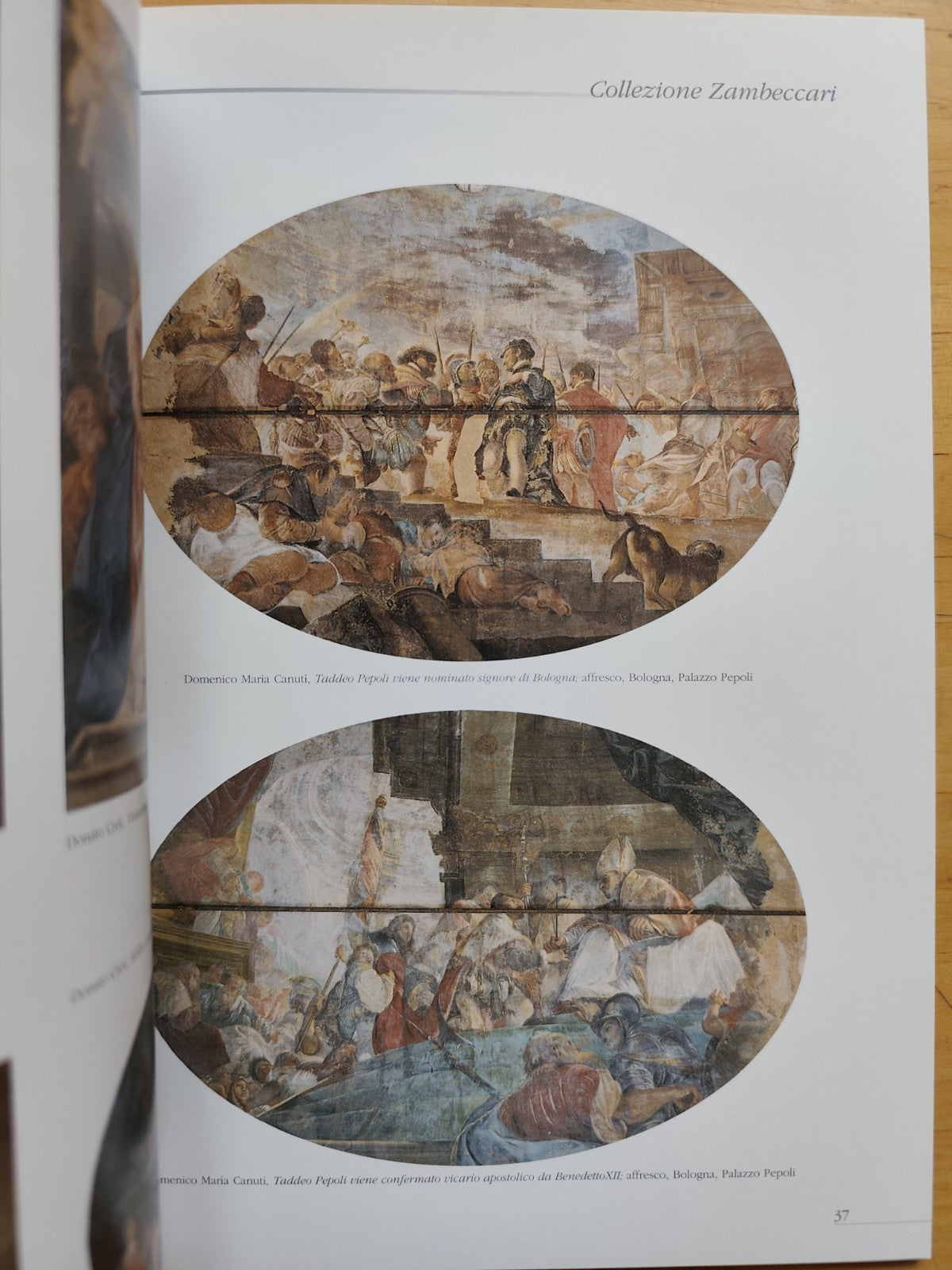 Le antiche stanze Palazzo Pepoli Campogrande e la quadreria Zambeccari, Minerva