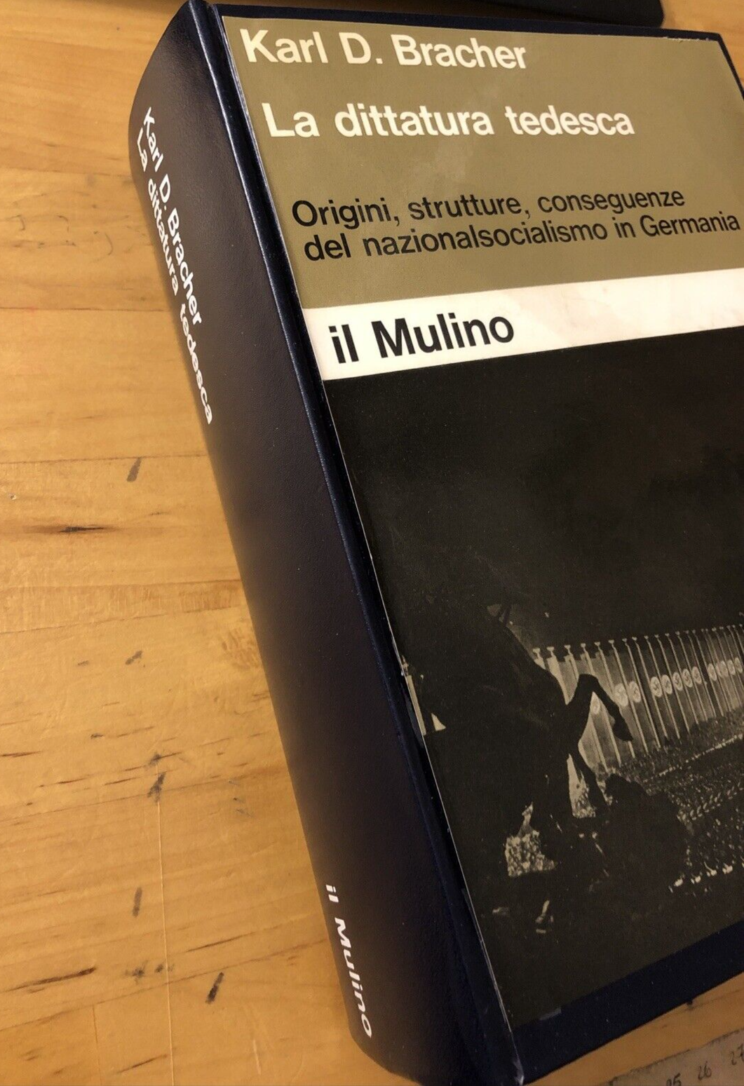 La dittatura tedesca, Karl D. Bracher. il Mulino 1973