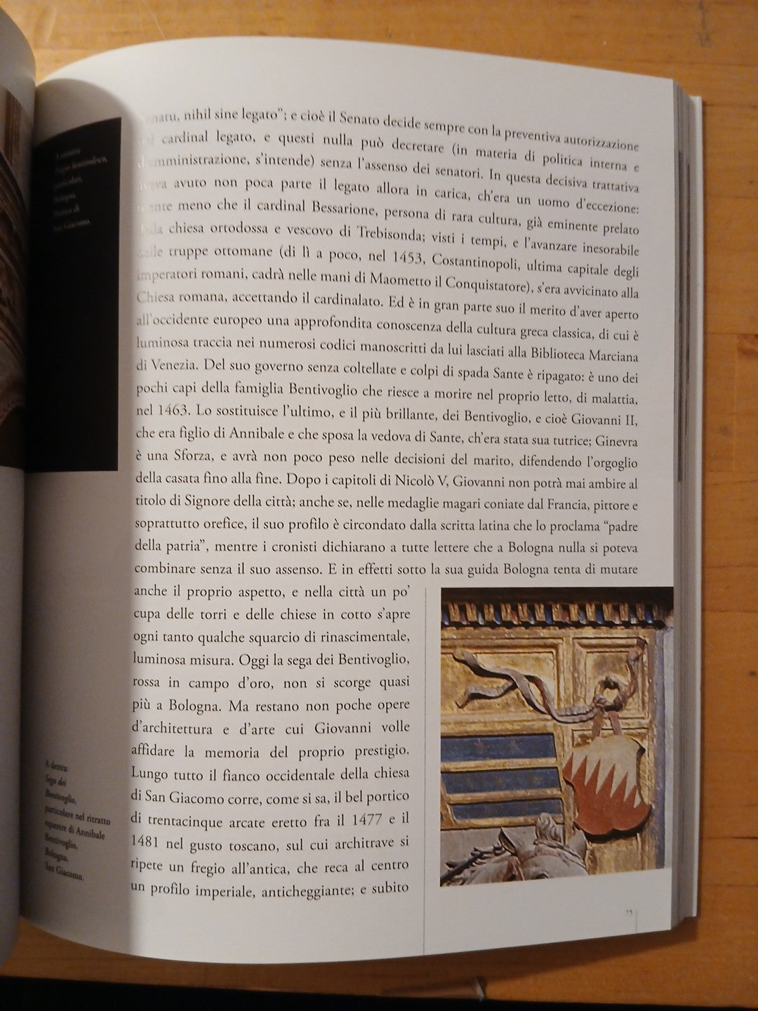 Bologna narrata dalle origini ai giorni nostri, Eugenio Riccomini 2010