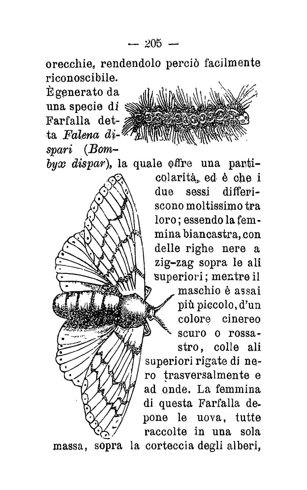 Nuova entomologia -La distruzione degli insetti nocivi 1896 -Rist 2025 A. Lavoit