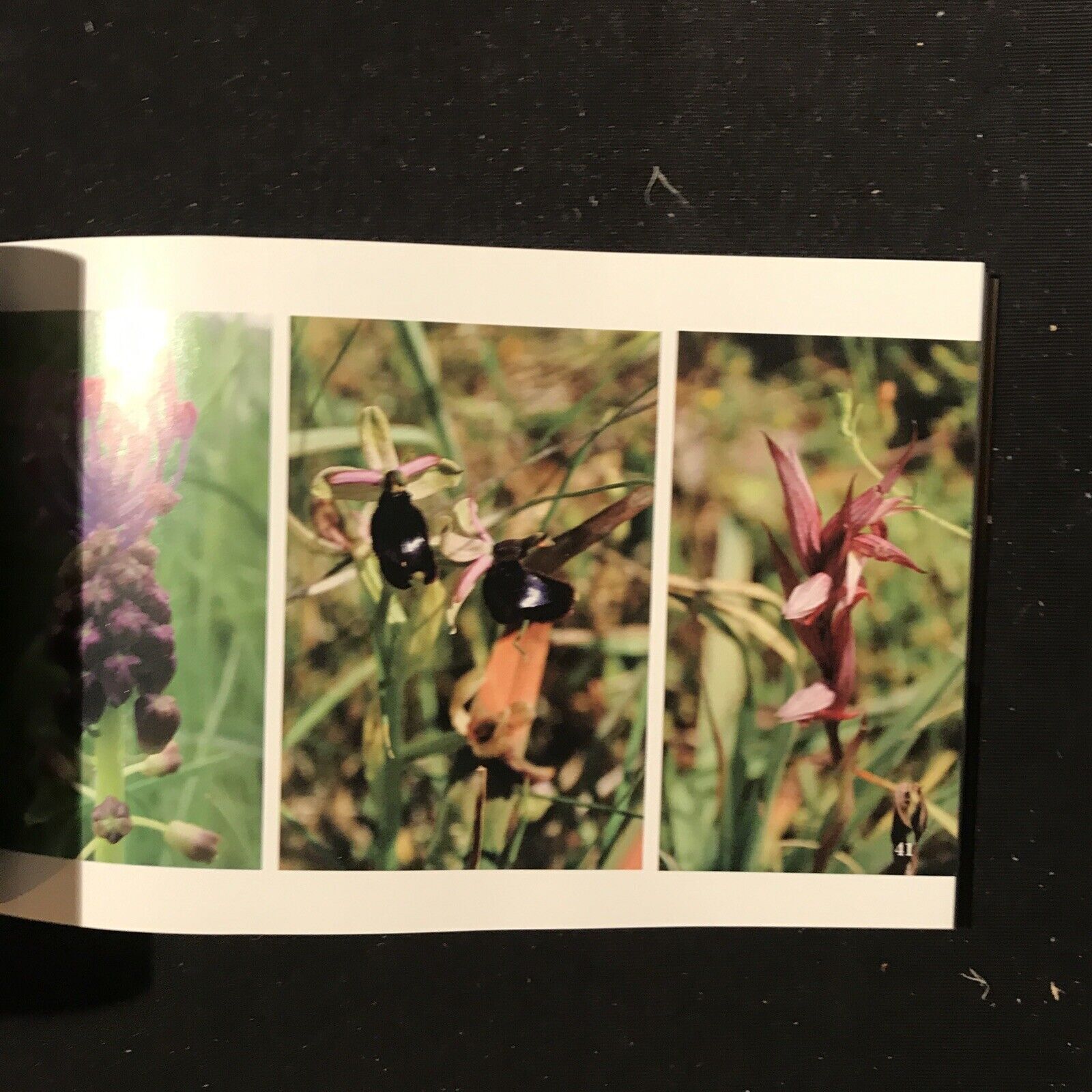 MATERA un racconto fotografico, Michele morelli, Giusy Schiuma, ed. Giannatelli