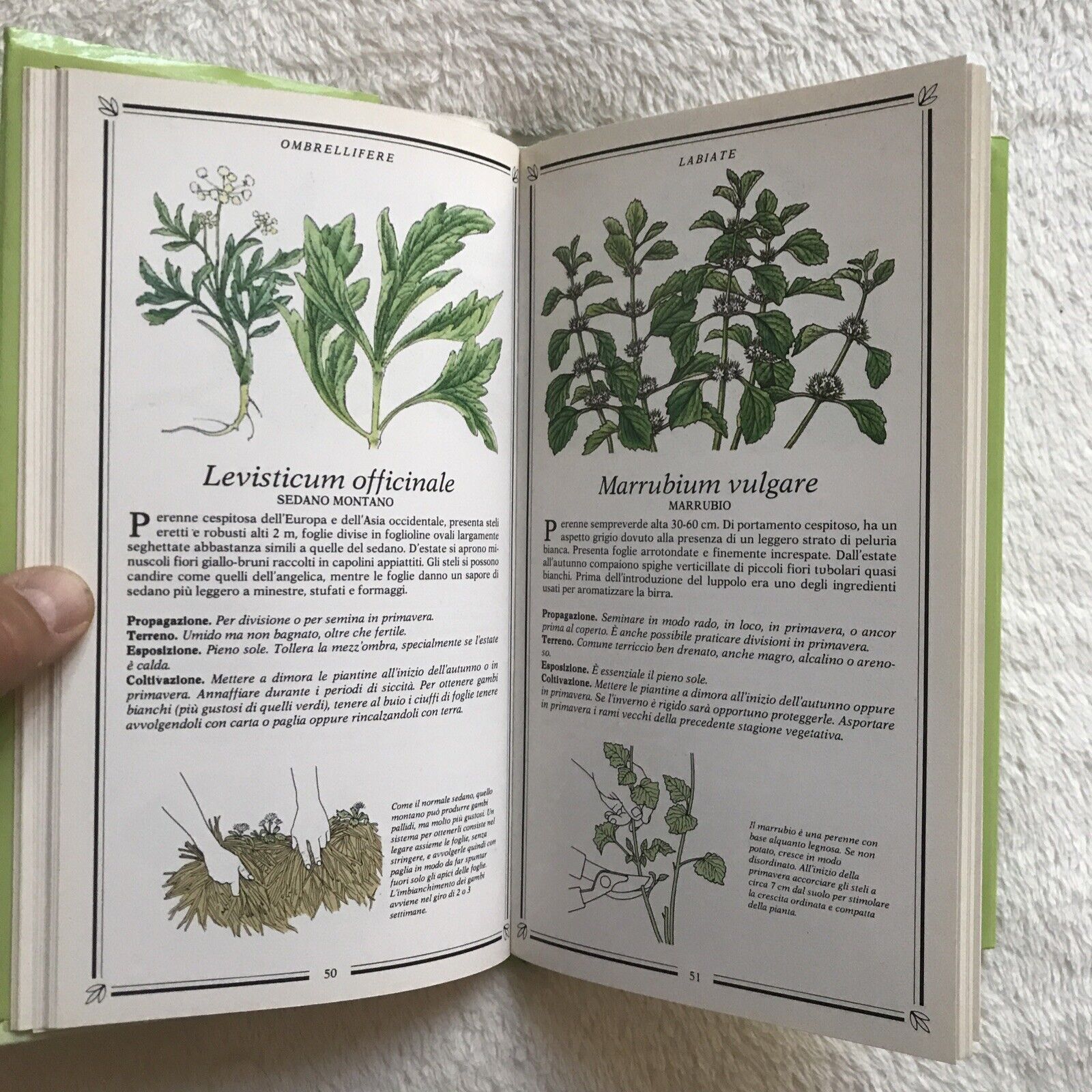 ERBE, Kenneth A. Beckett, Sperling & Kupfer Editori