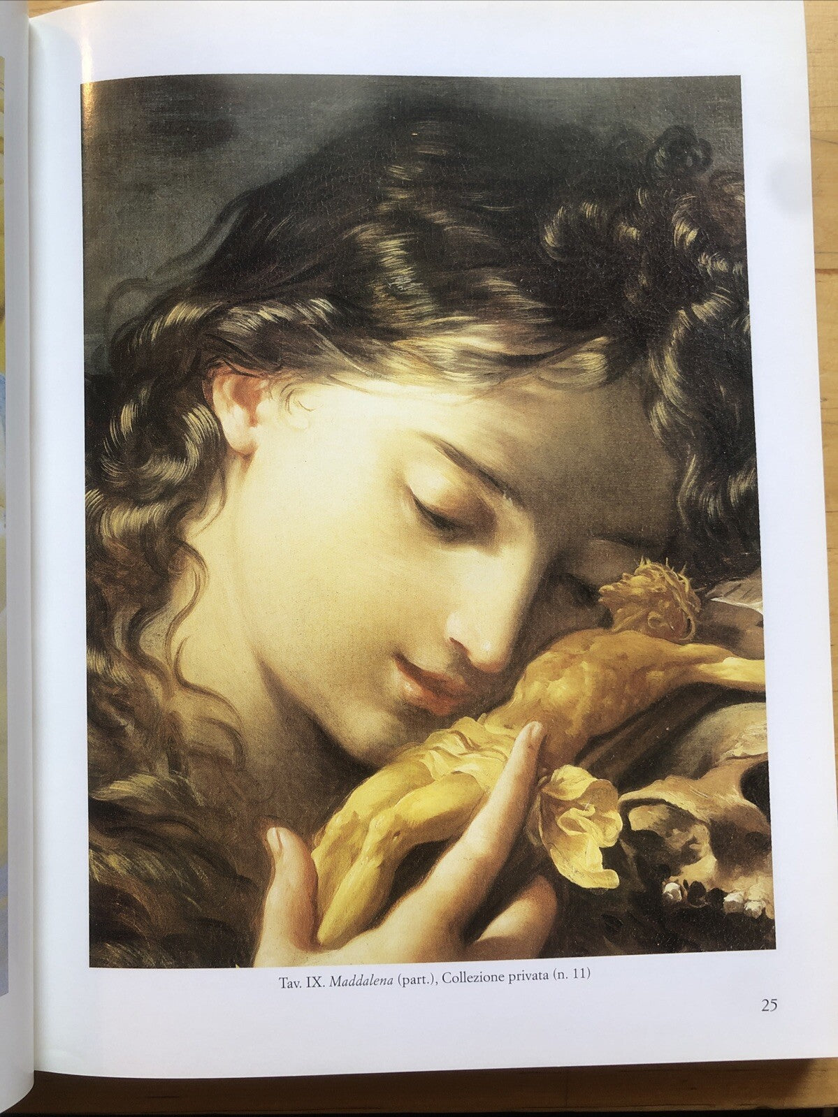 Giovanni Antonio Burrini, Eugenio Riccòmini. Tipoarte 1999