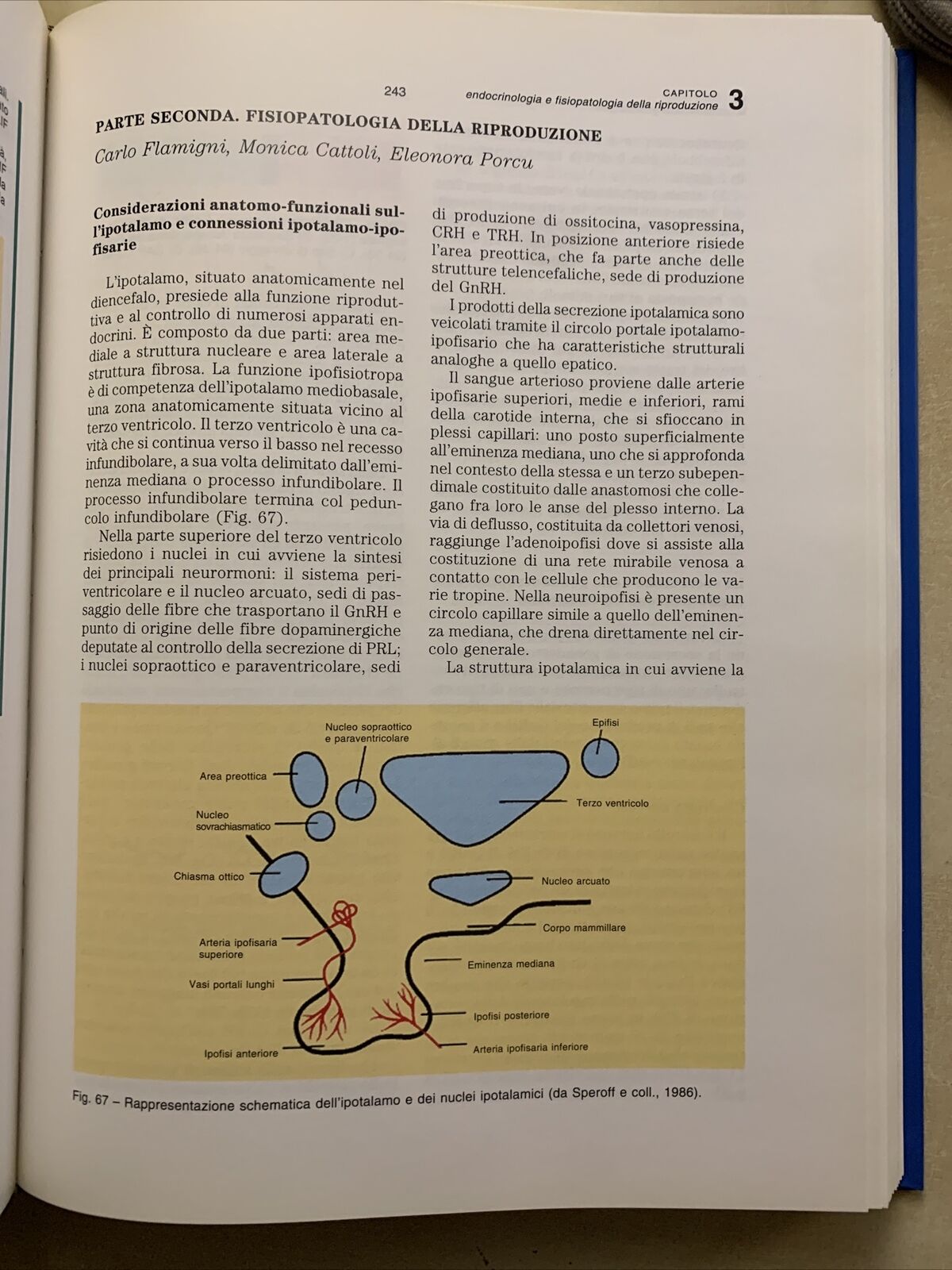 FISIOPATOLOGIA Agnoli Licastro Tomasi Zavagli. Vol. Primo 1. Clueb editore 1994