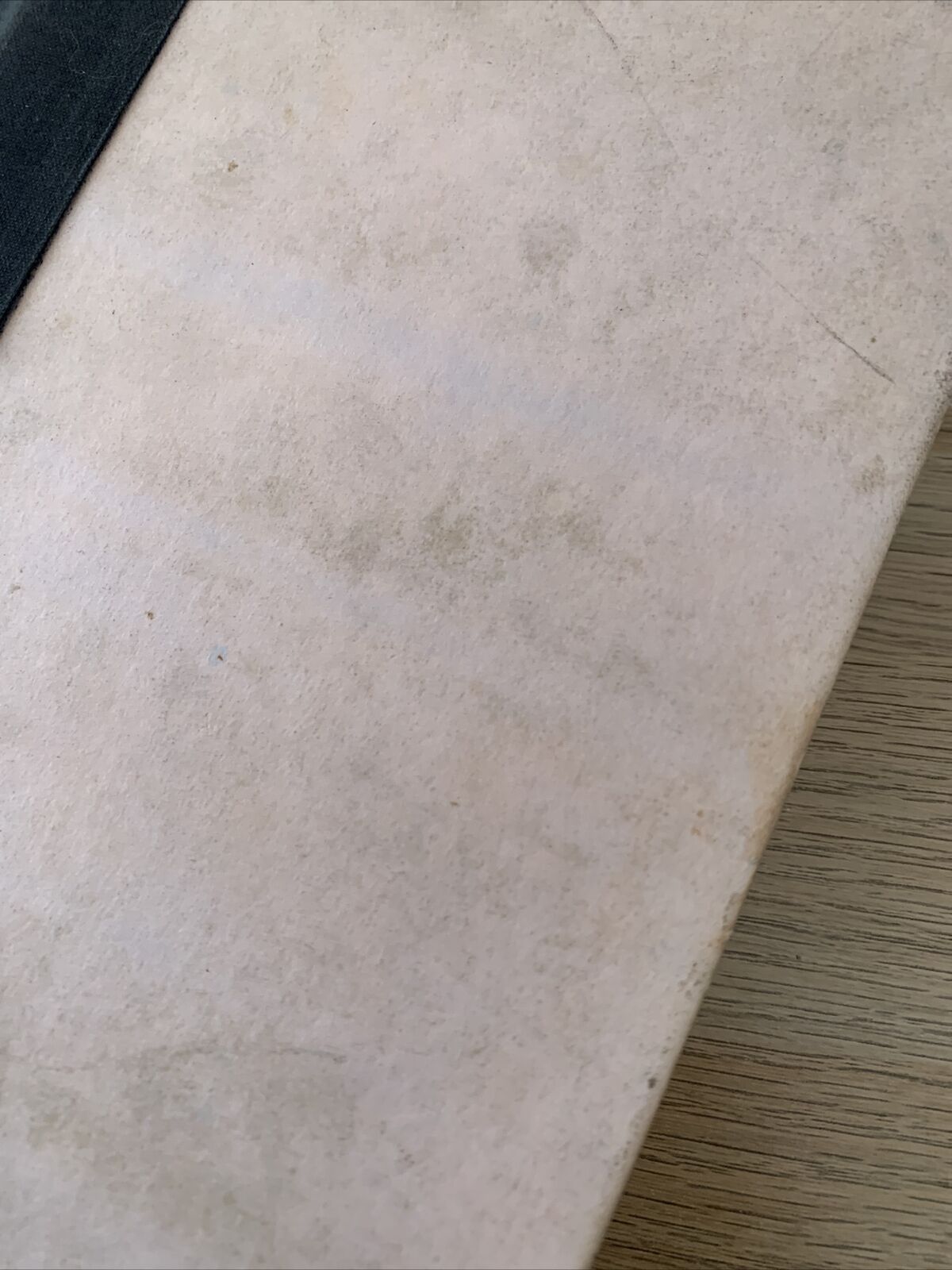 Desperados - Elaine Shannon. Viking 1988