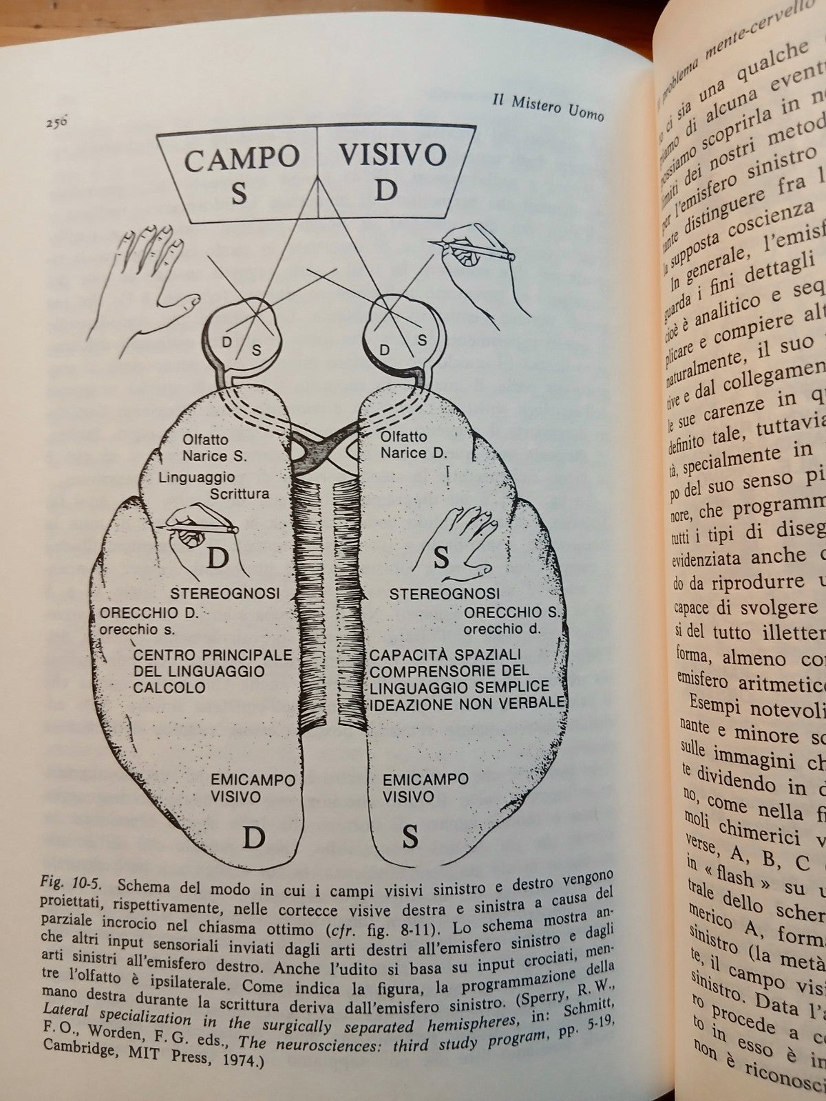 Il mistero uomo di John C. Eccles - Il Saggiatore 1983