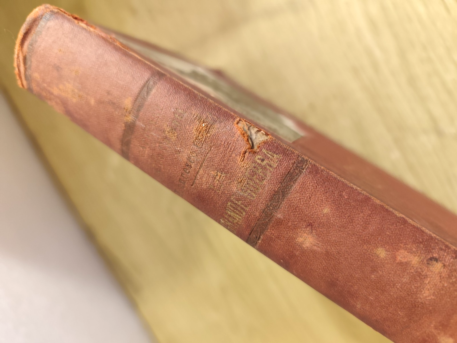 La grande guerra, Aldo Cabiati - Francesco Guidi. Sonzogno anni '20 con tavole