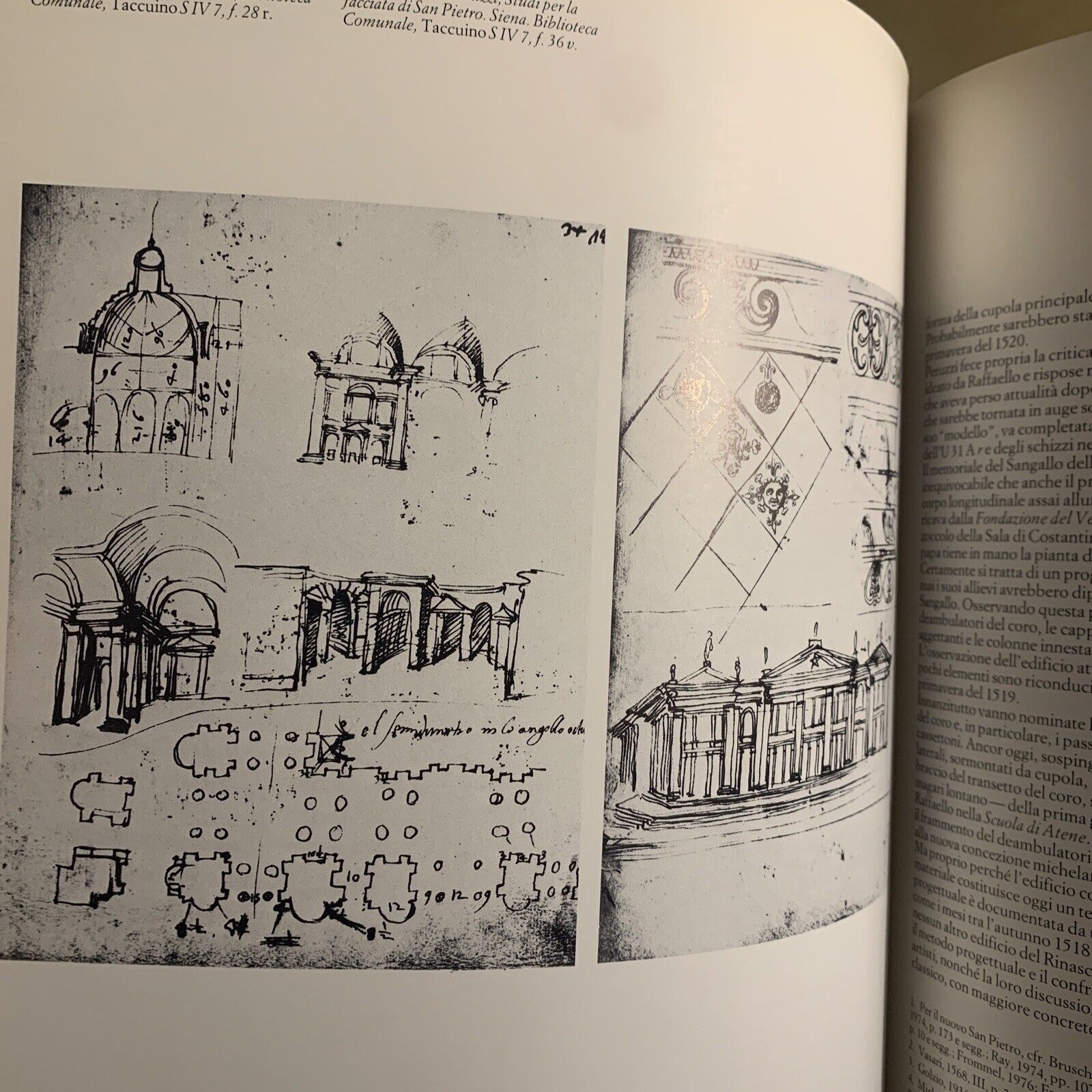 RAFFAELLO ARCHITETTO - ELECTA 1984. Frommel, Ray, Tafuri.