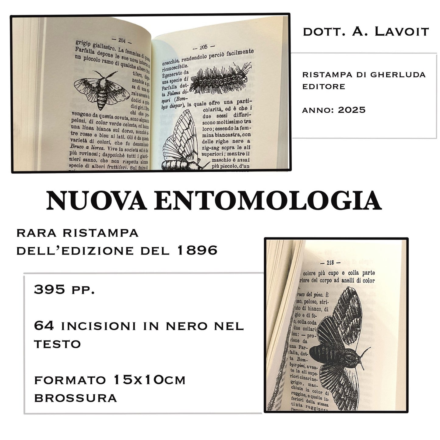 Nuova entomologia -La distruzione degli insetti nocivi 1896 -Rist 2025 A. Lavoit