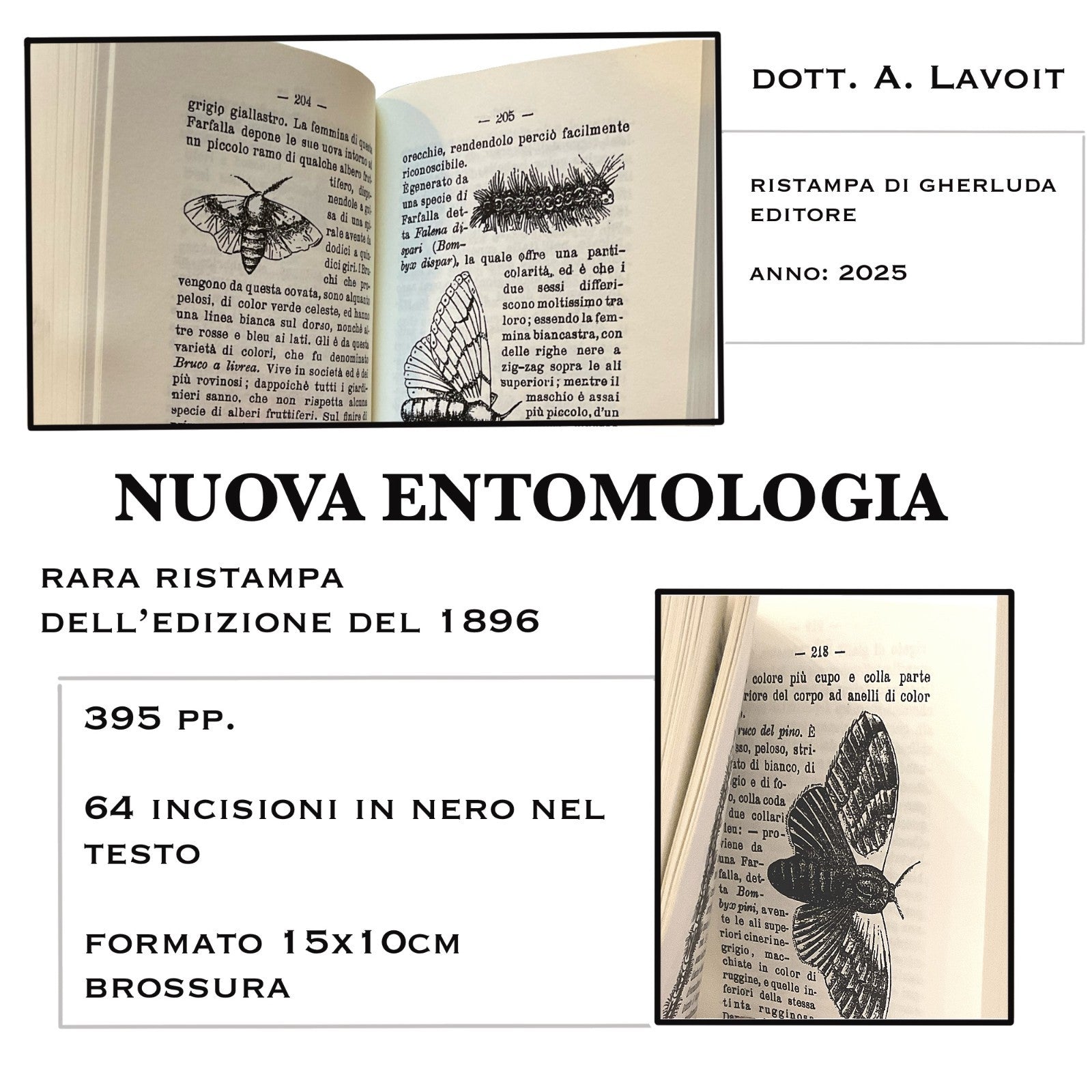Nuova entomologia -La distruzione degli insetti nocivi 1896 -Rist 2025 A. Lavoit