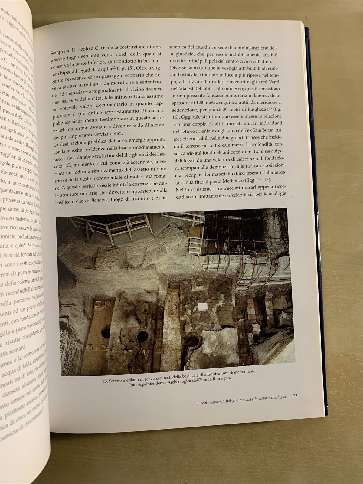 IL PALAZZO COMUNALE DI BOLOGNA. STORIA ARCHITETTURA RESTAURI. ED COMPOSITORI #