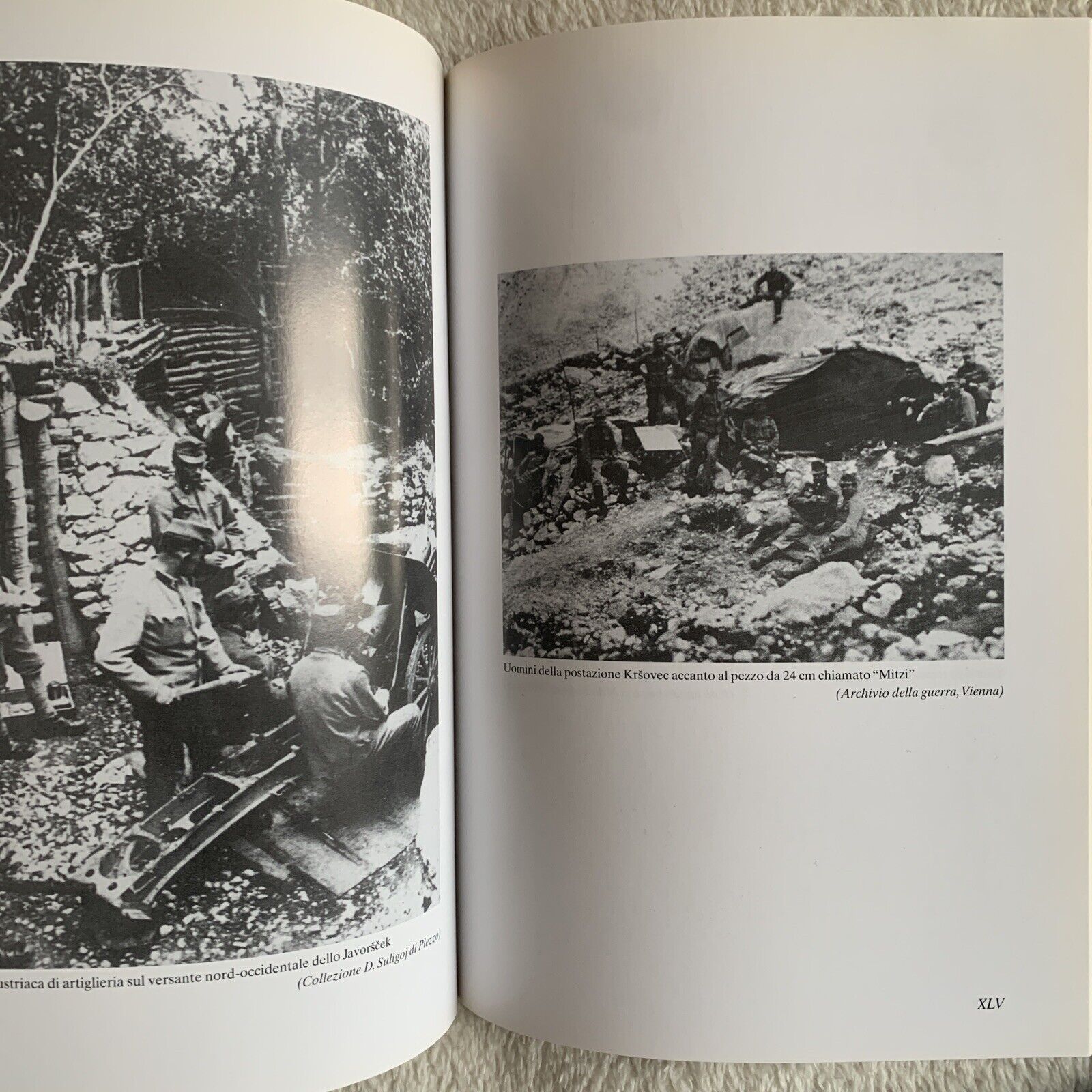 La croce Blu, Vasja Klavora. I libri della prima guerra Mondiale, Nordpress 2002