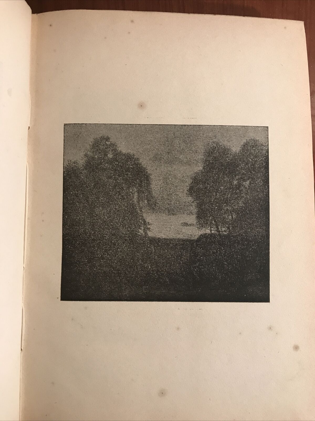 GINO ROMITI pittore Bottega d' arte 1922