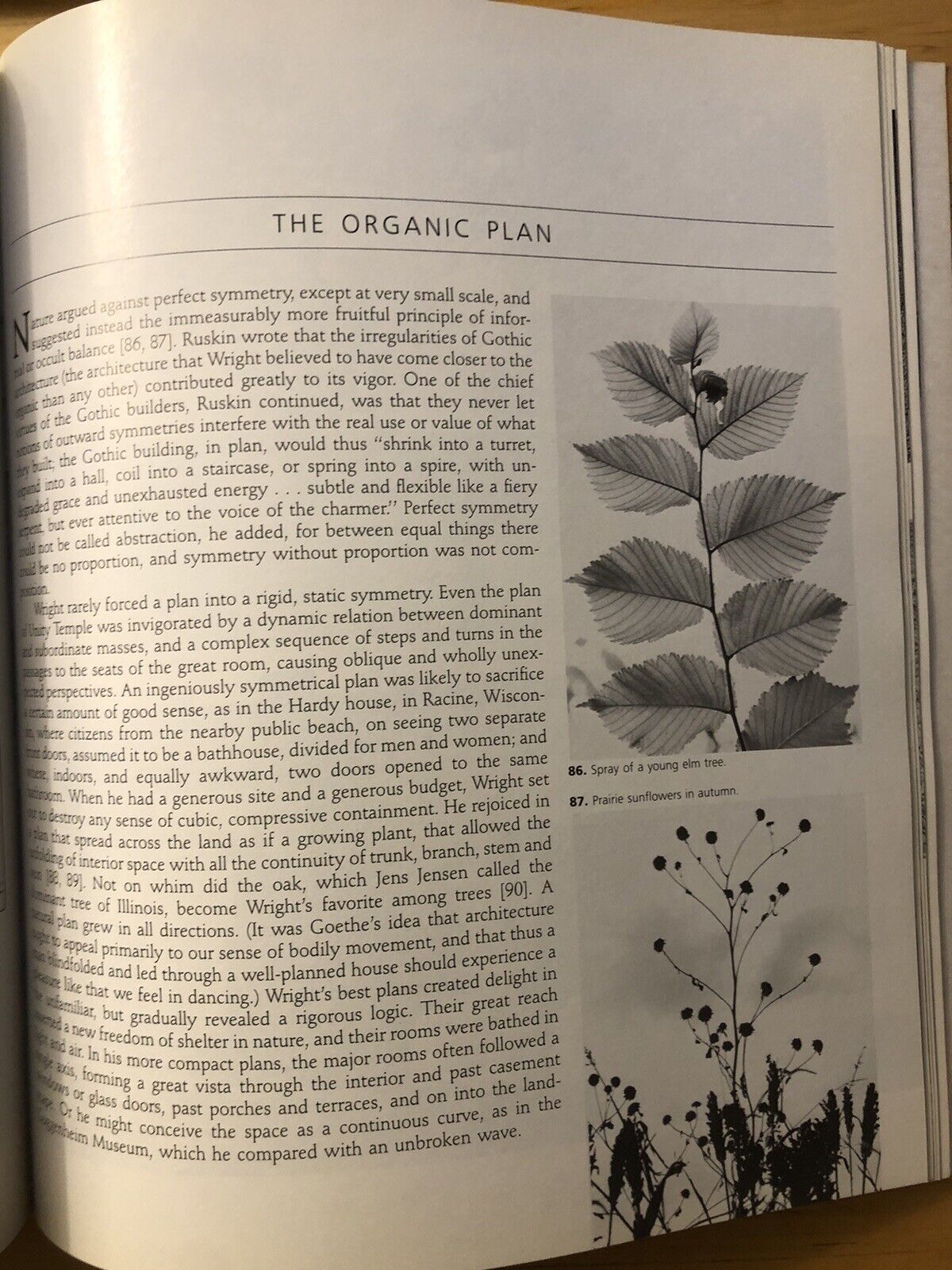 Frank LLoyd Wright - Architecture and nature. Donald Hoffmann 1986 ARCHITETTURA